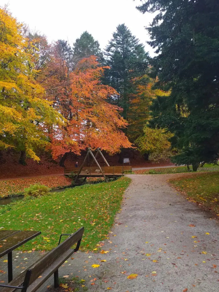 Vakre Sandvedparken turområde ligger kun 10 min gåavstand fra leiligheten.