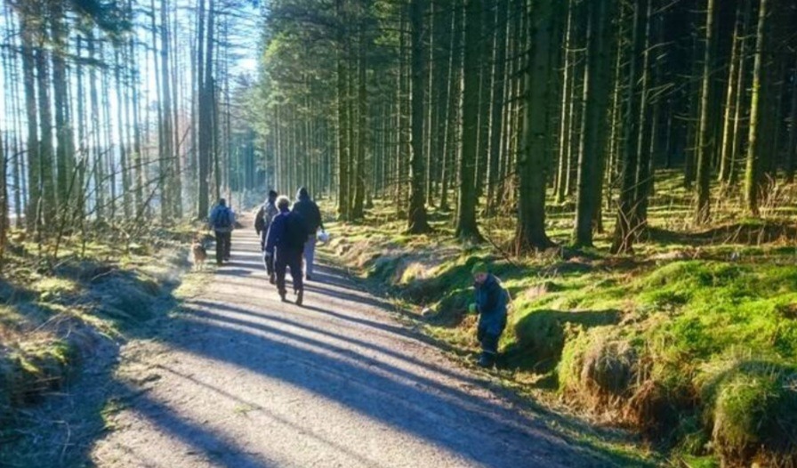 Mange flotte turområdet i nærheten, for både trening og rekreasjon.