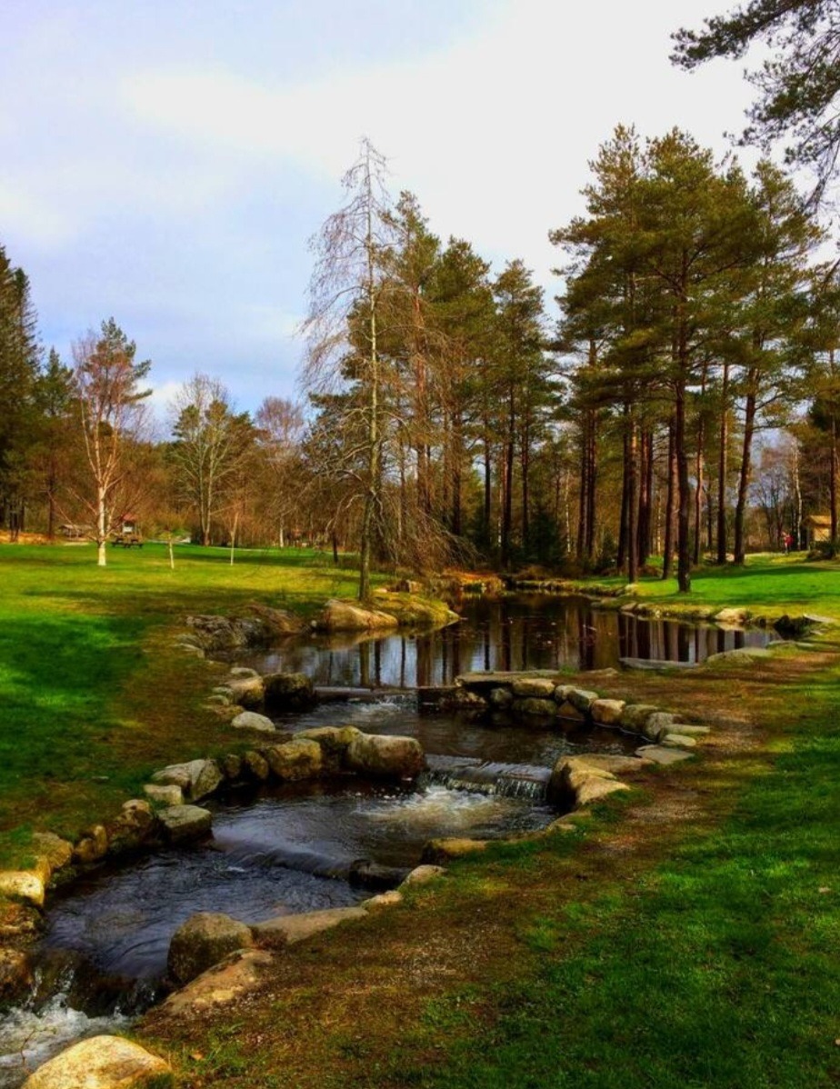 Mange flotte turområdet i nærheten, for både trening og rekreasjon.