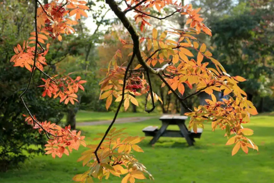 Vakre Sandvedparken turområde ligger kun 10 min gåavstand fra leiligheten.