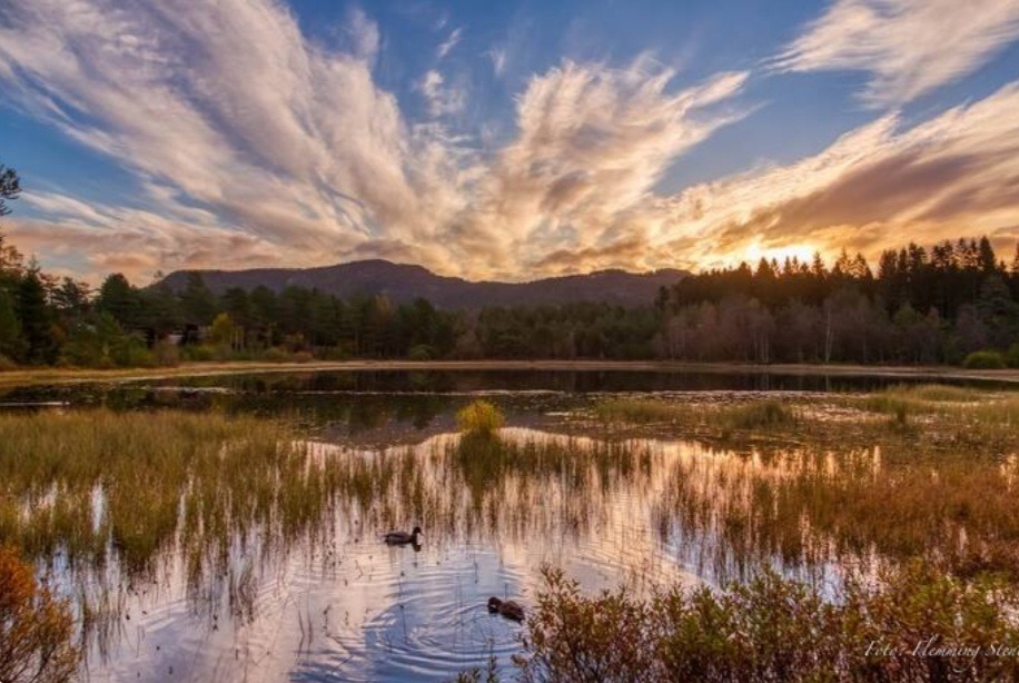 Mange flotte turområdet i nærheten, for trening og rekreasjon.