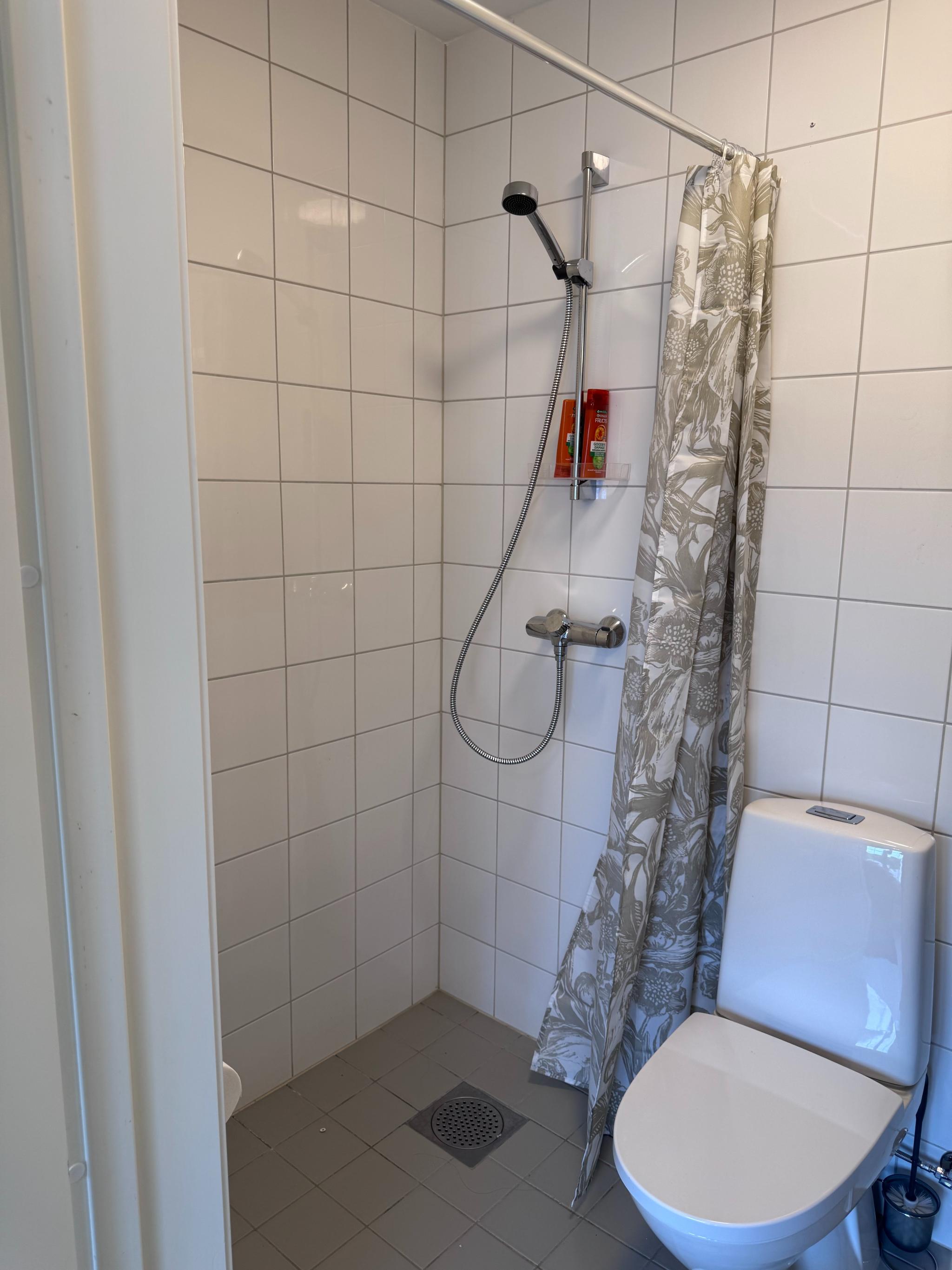 Dusjhjørne og toalett.