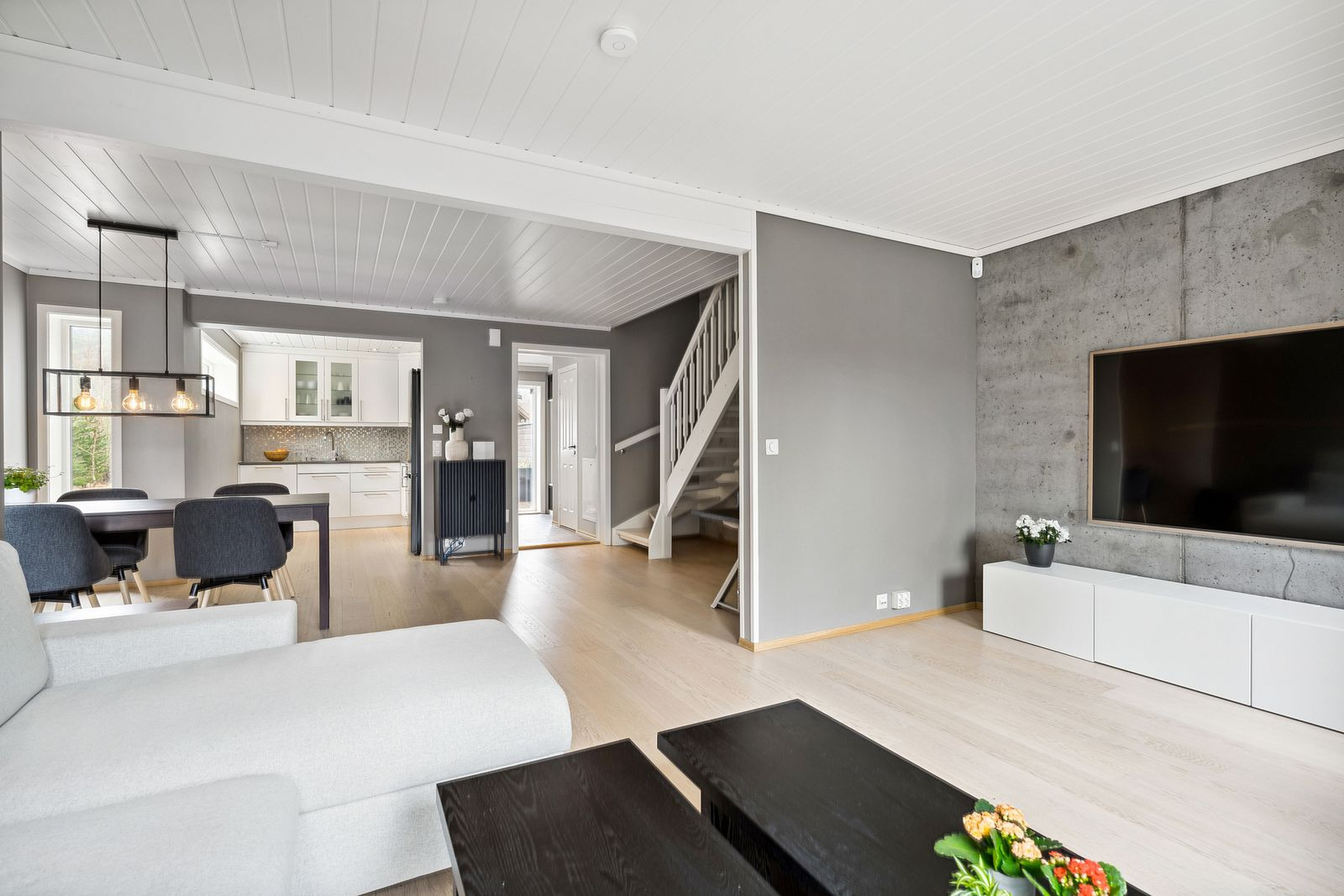 TV-stue / Spisestue/ Kjøkken