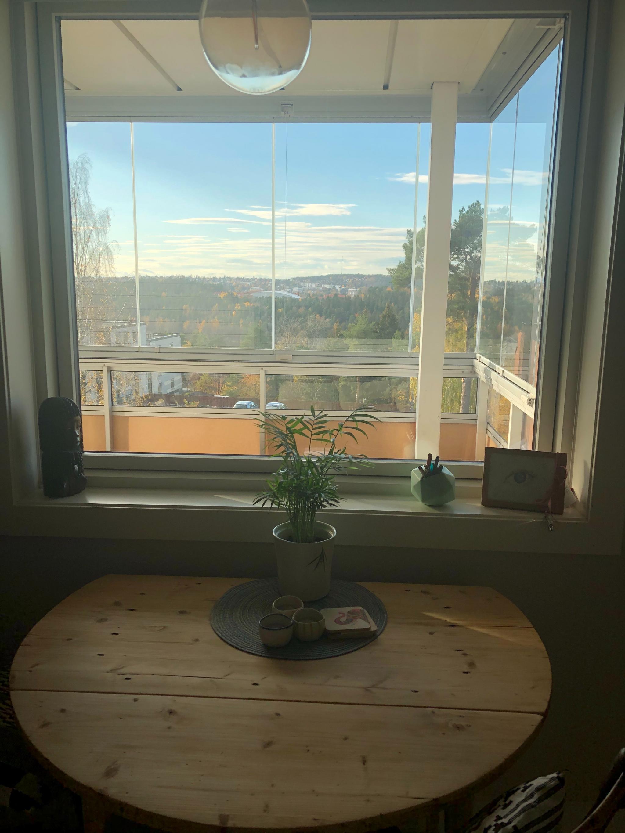 Utsikt fra kjøkkenet