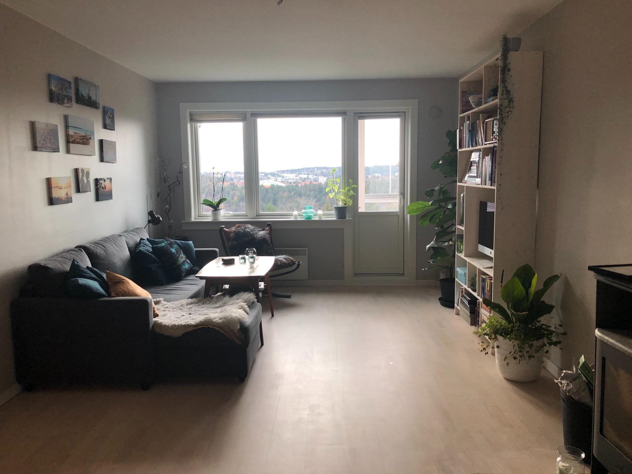 Romslig stue med store vinduer, bokhylle og peis