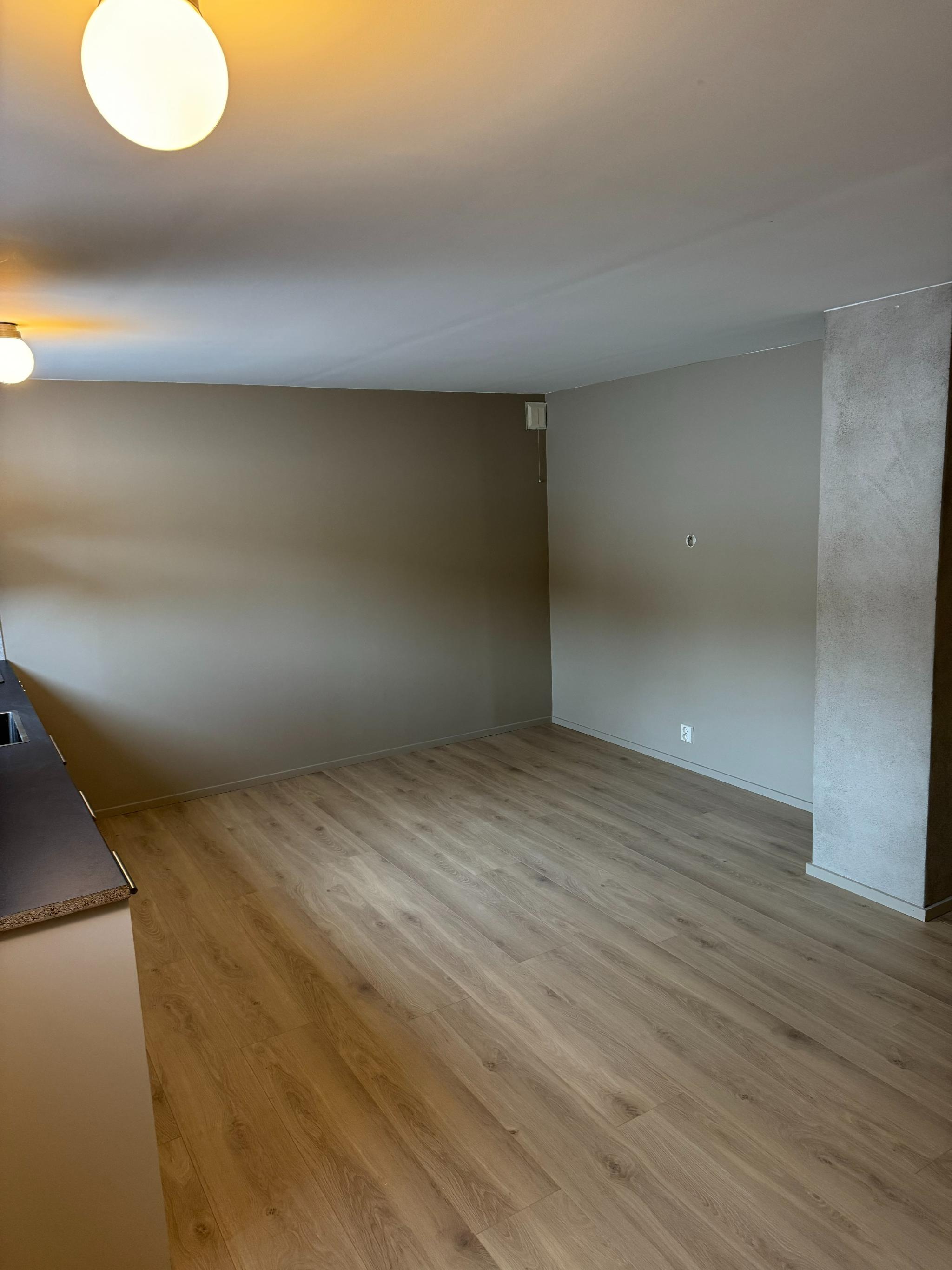 Stue med plass til sofa og spiseplass