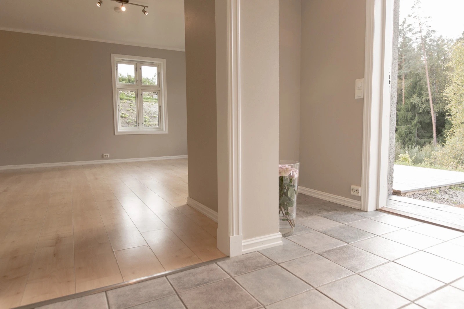 Inngang og stue umøblert