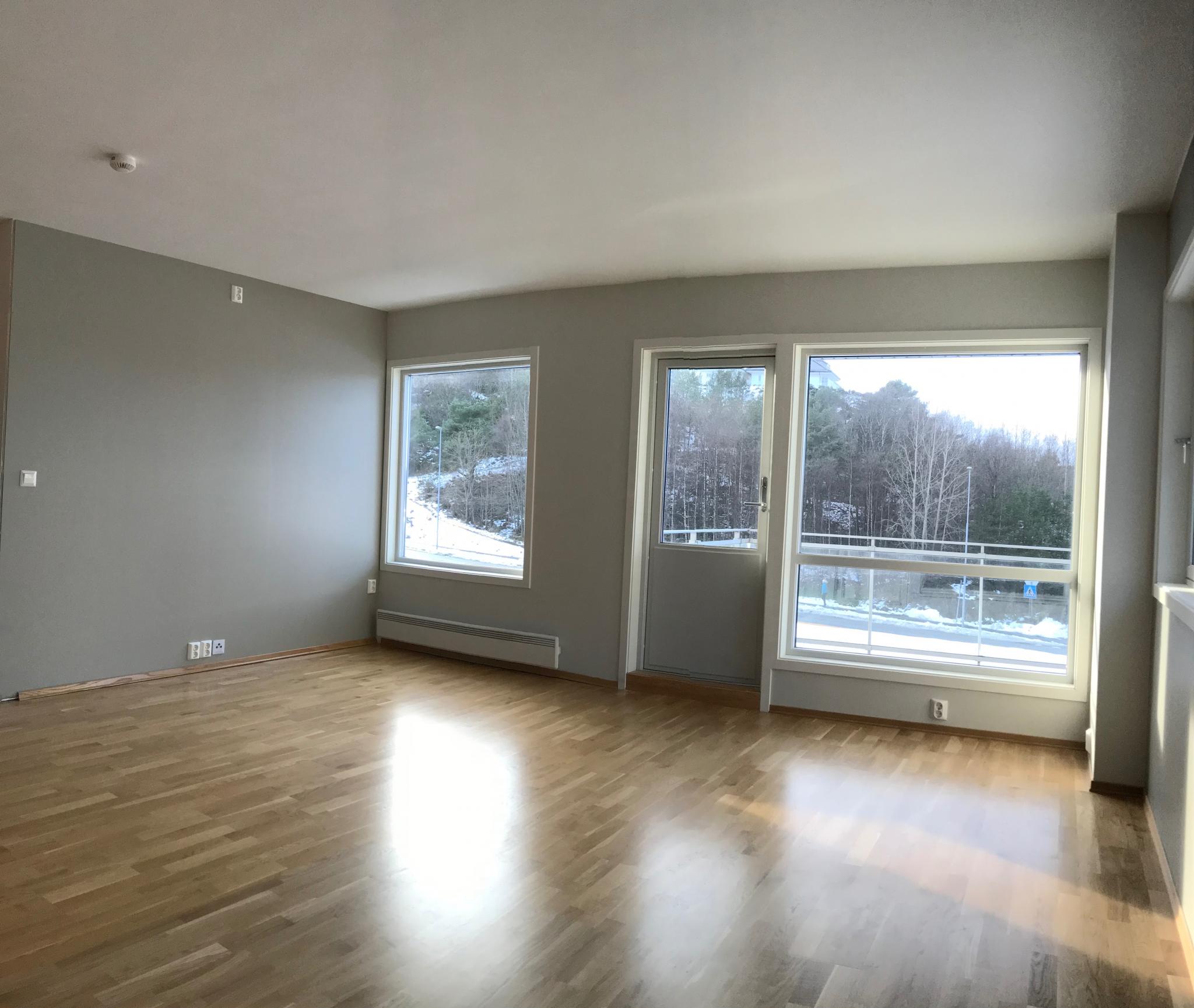 Stue mot «tv vegg»