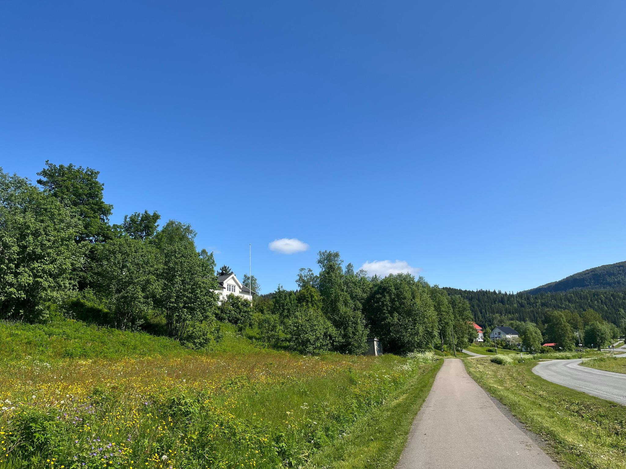 utsikt fra Ytterenveien retning Båsmoen i sommer