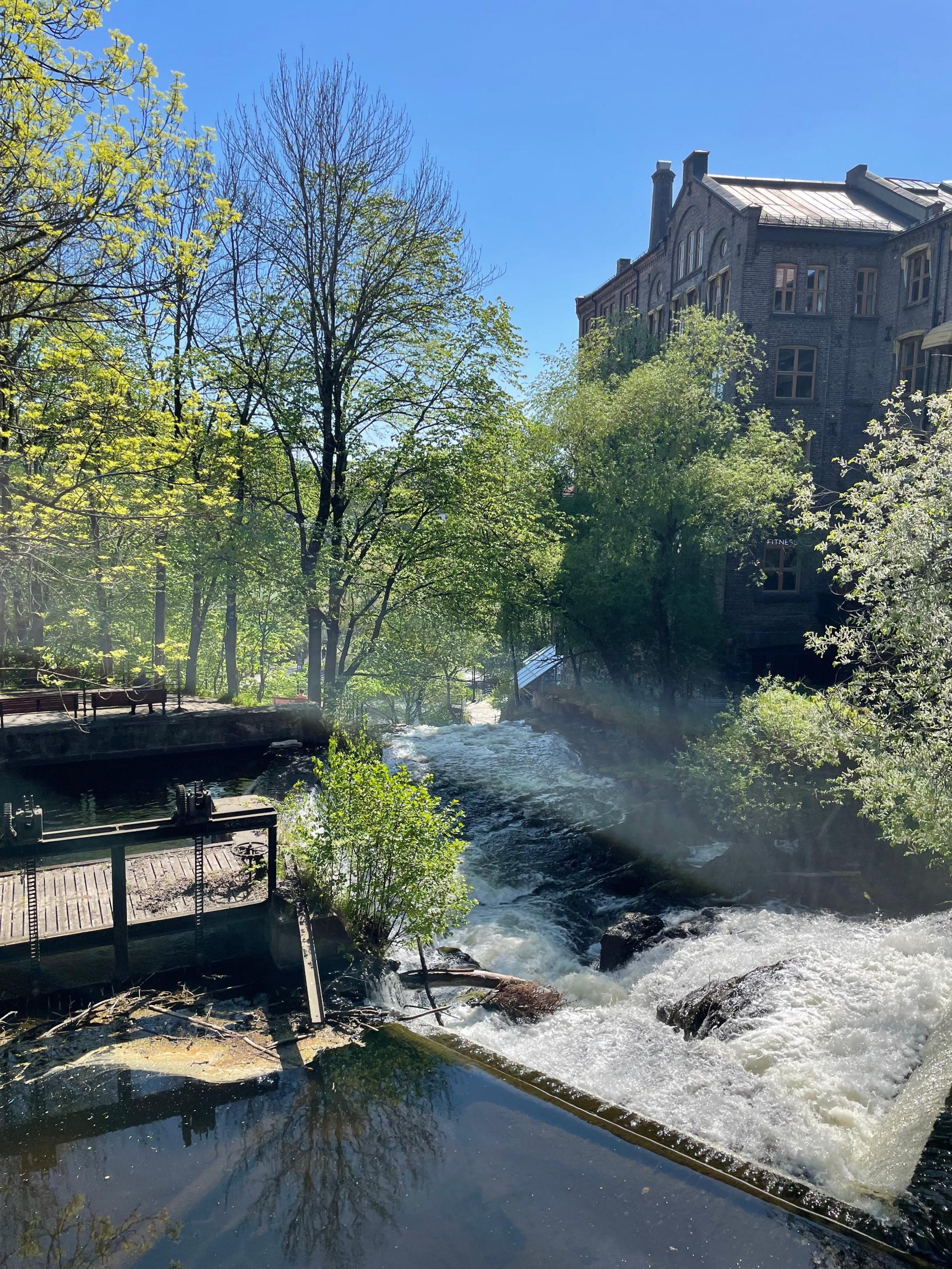 Nærområdet/Akerselva