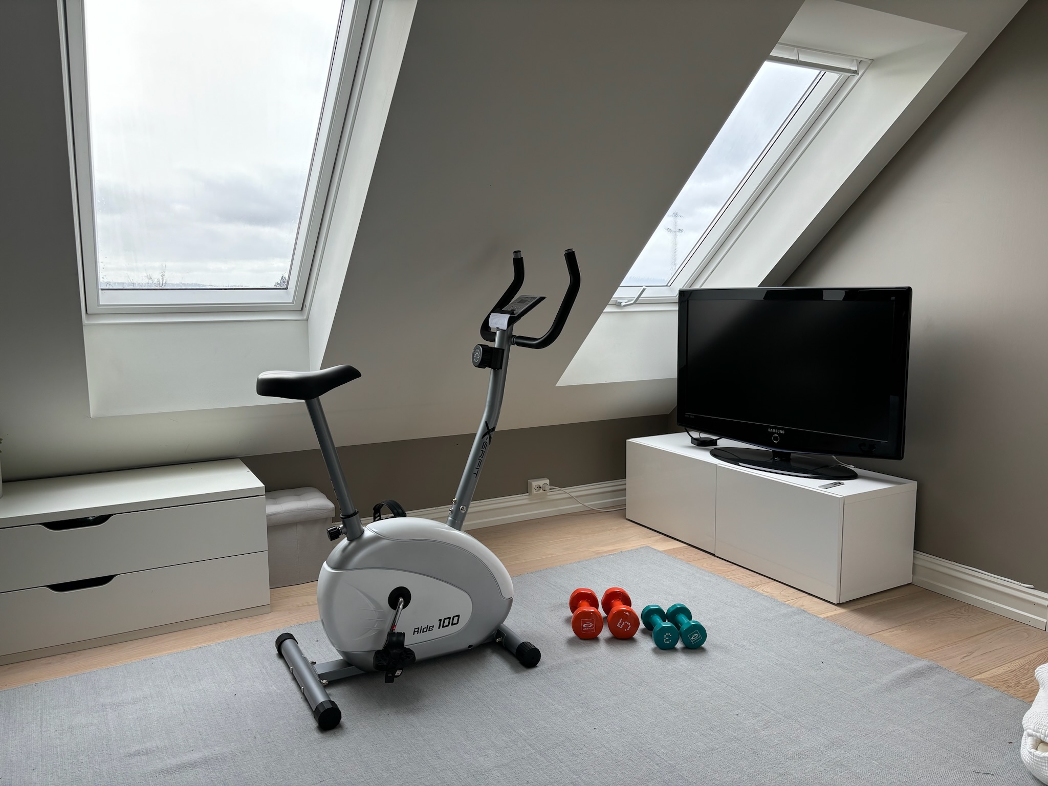 Livingroom/playroom/work out room