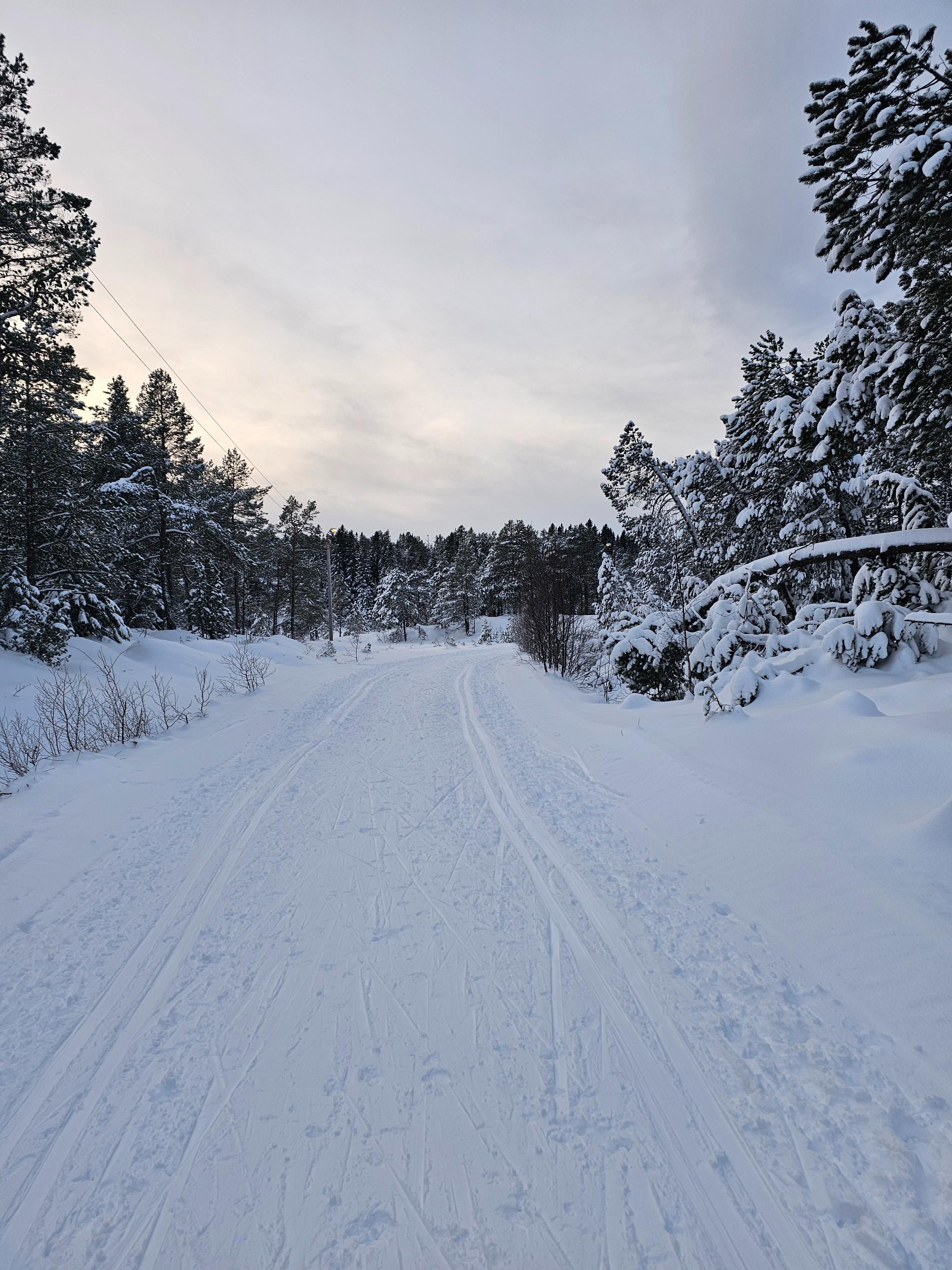 Langrennsløyper 200 meter fra huset.