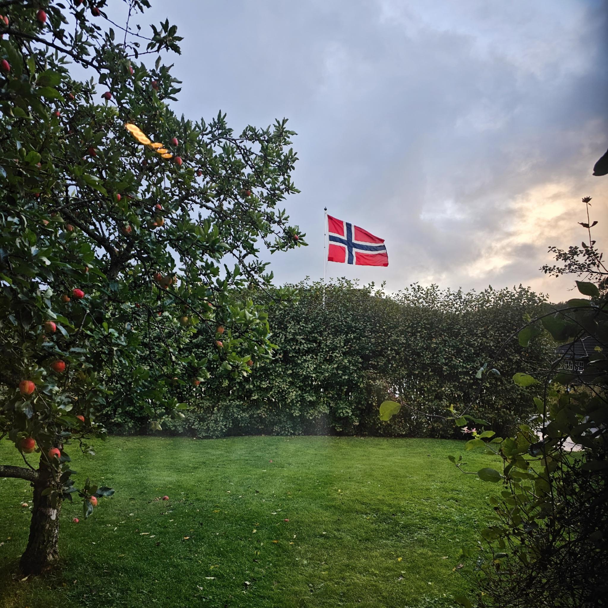 Utsikt fra et av soverommene.