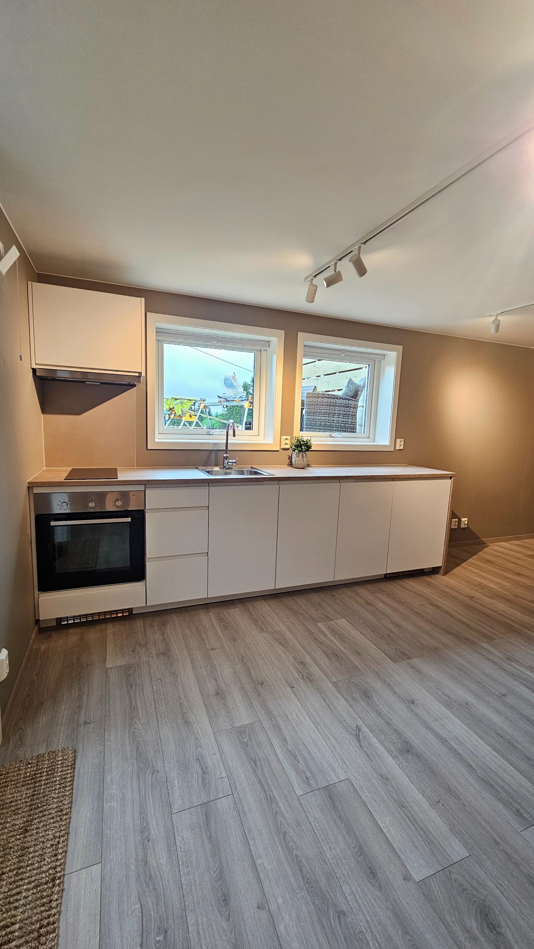 Kjøkken med alle integrerte hvitevarer 