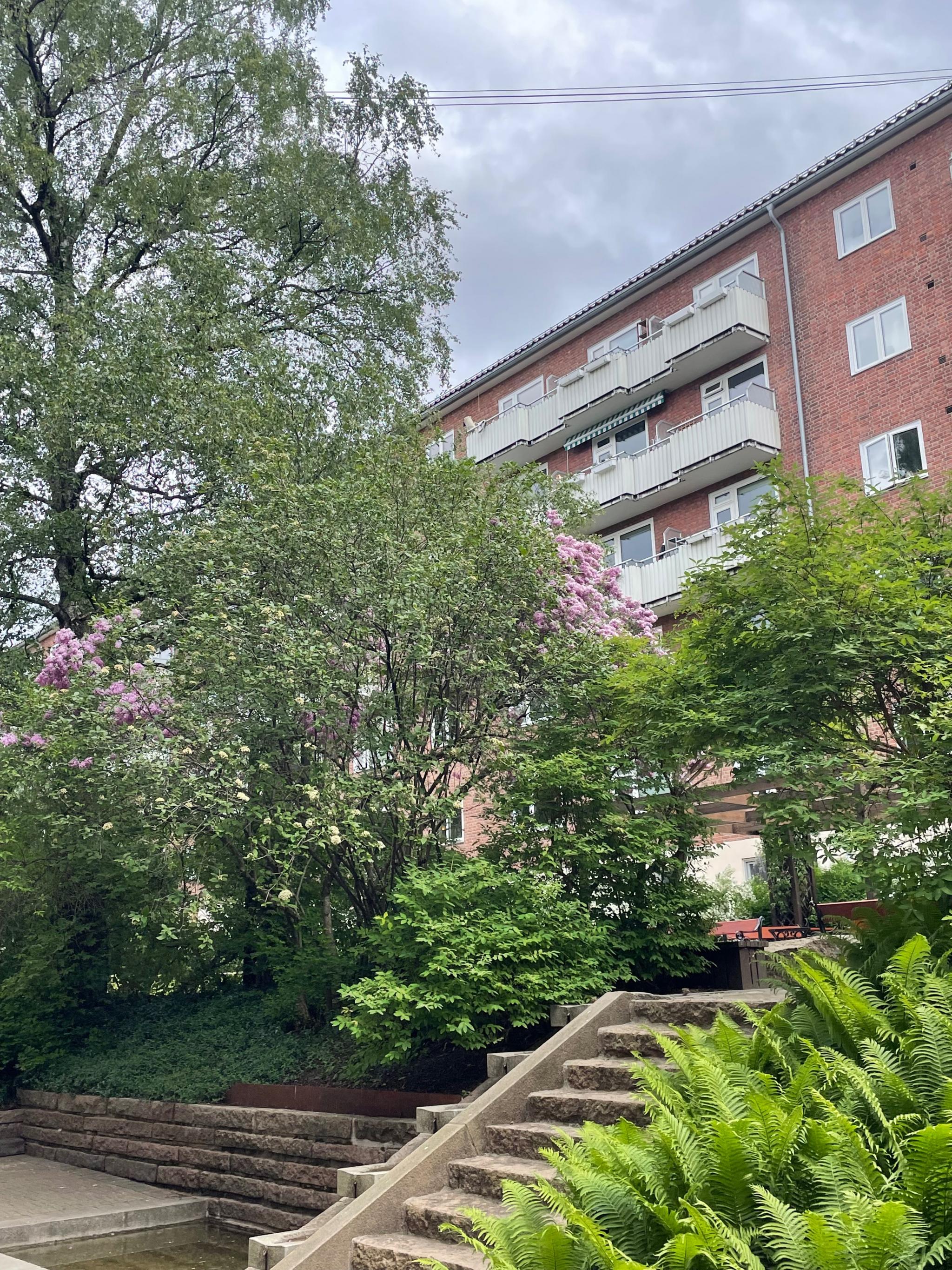 Kanskje Oslos koseligste bakgård!