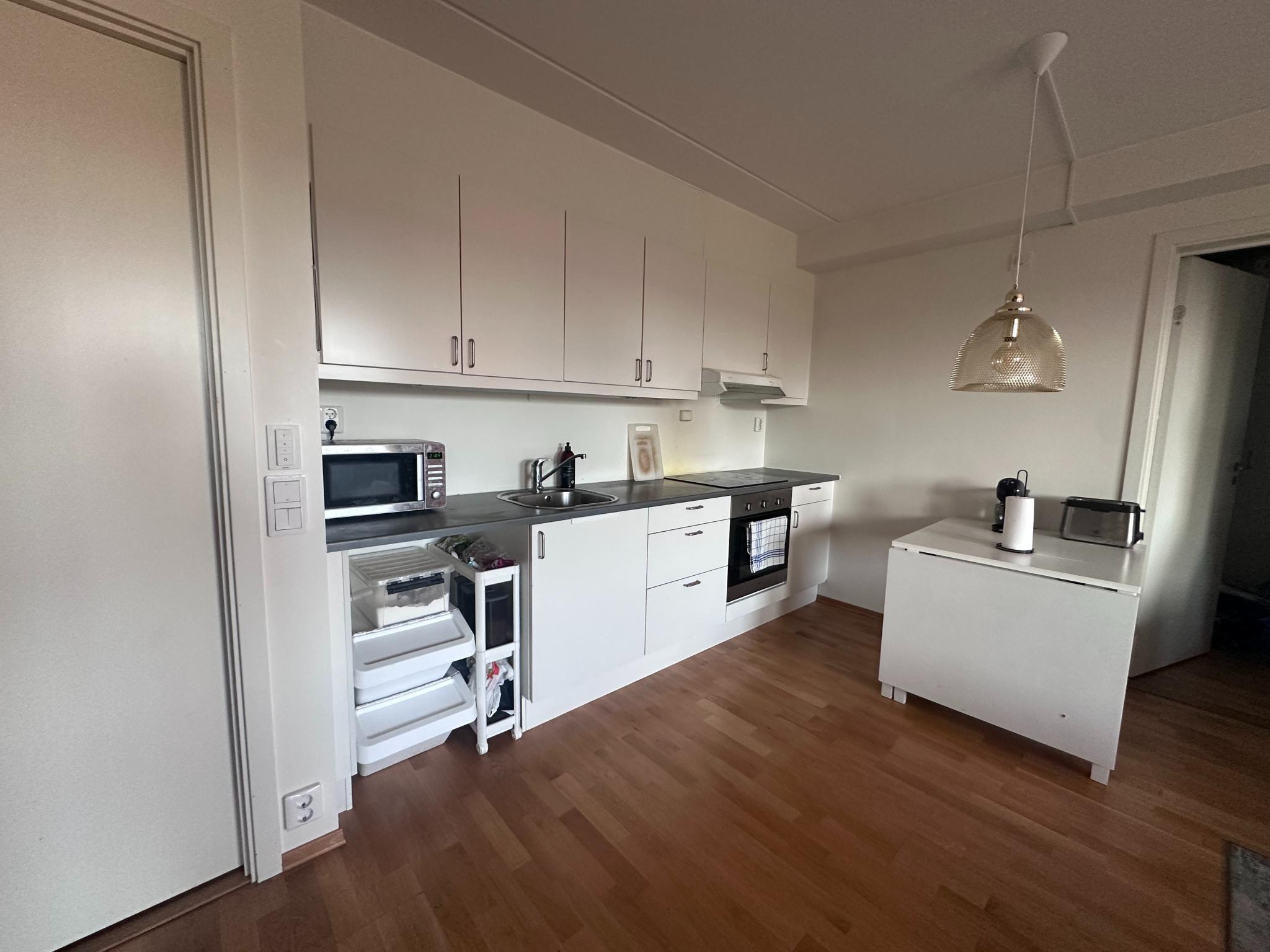 Stue og kjøkken i ett.