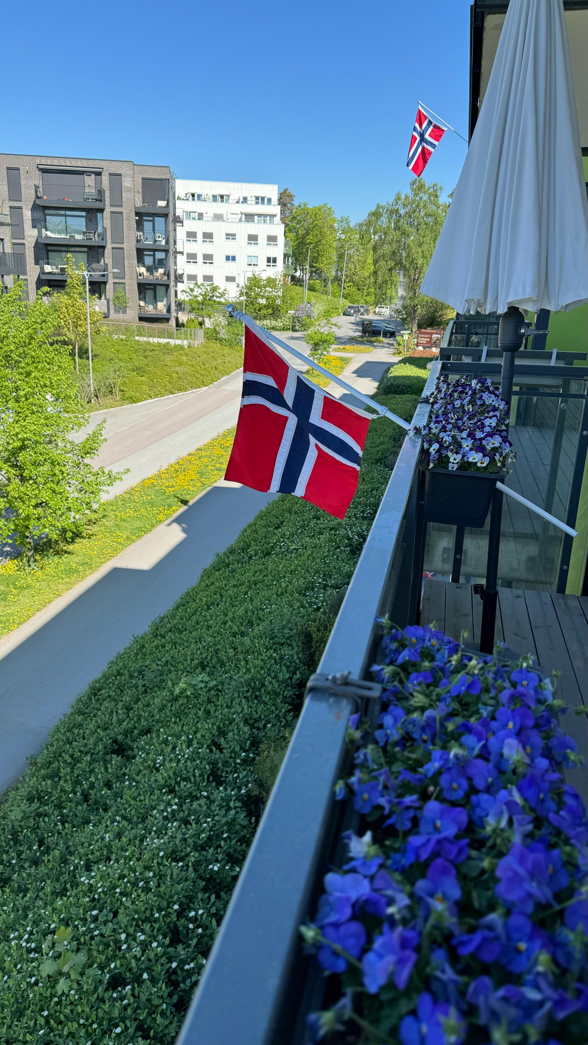 Balkong utsikt (vest)