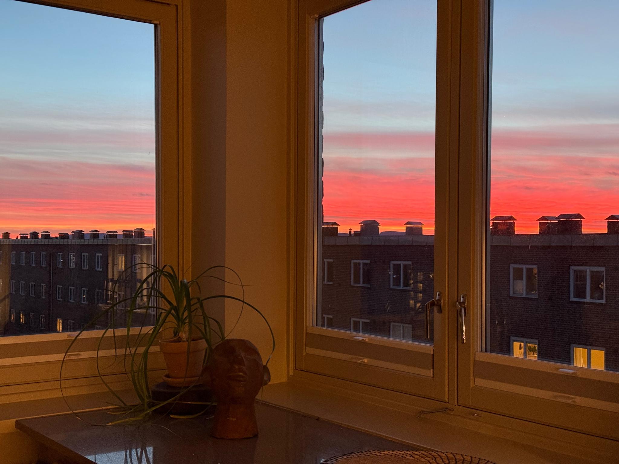 Utsikt fra kjøkkenbenk