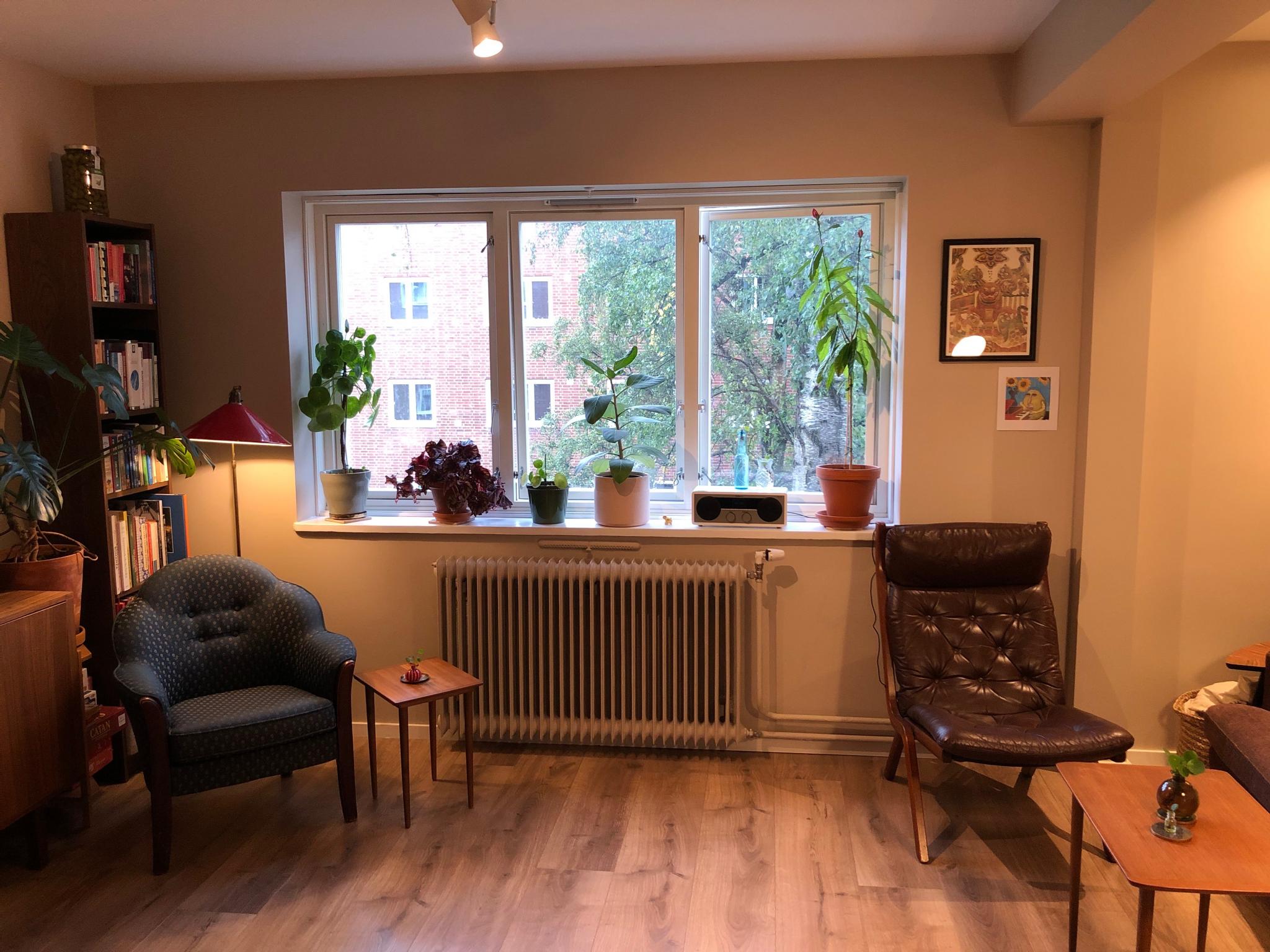 Stue - Store vinduer i stua, til alle planters glede!