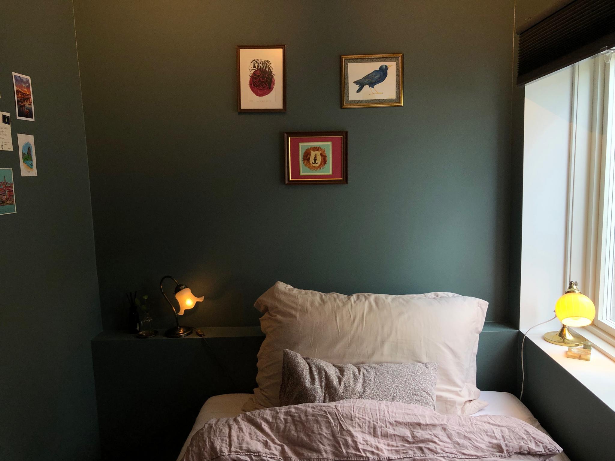 Soverom 2 - Koselig og lun farge på veggene