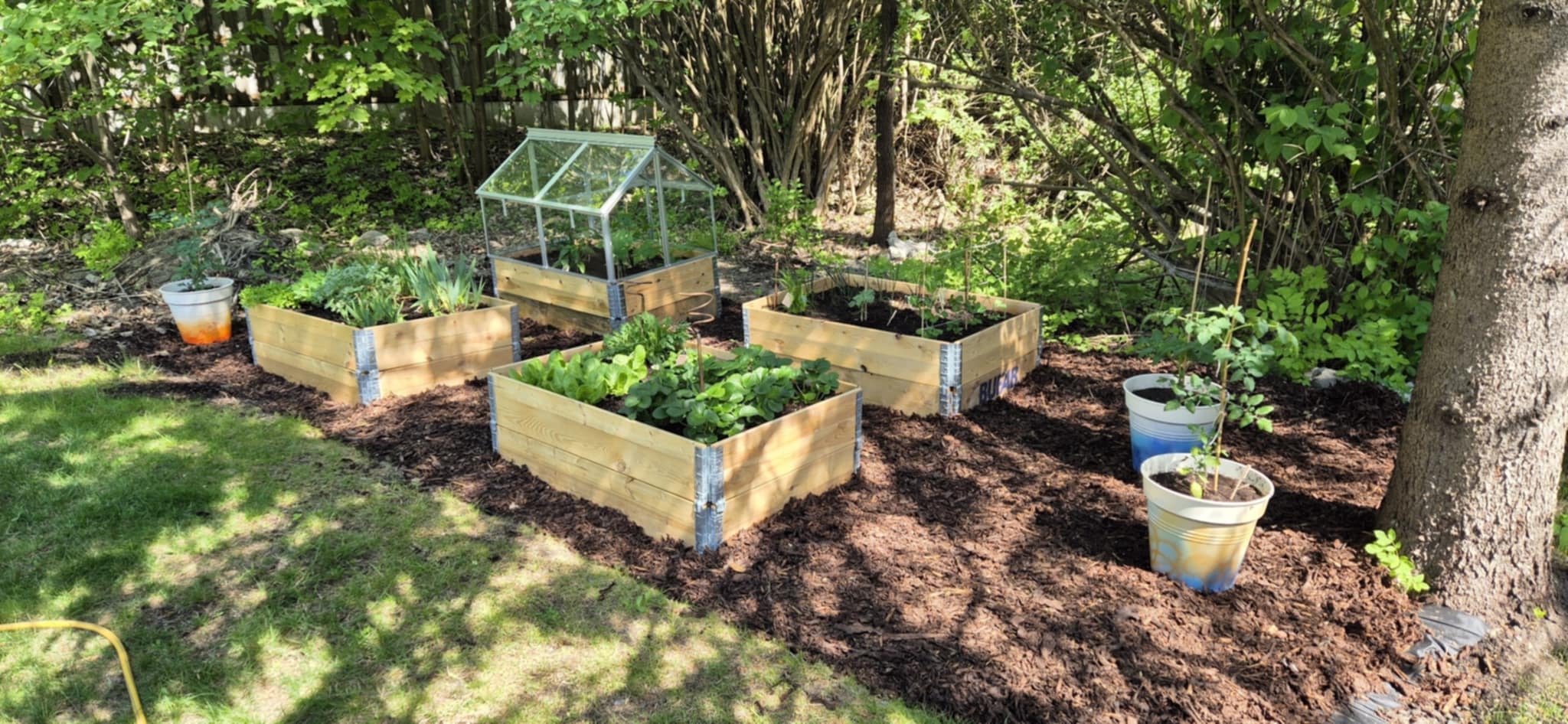 Hage / grønnsakshage