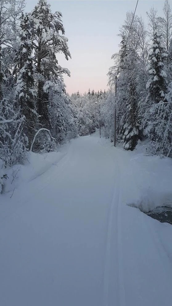 Turterreng i nærområdet