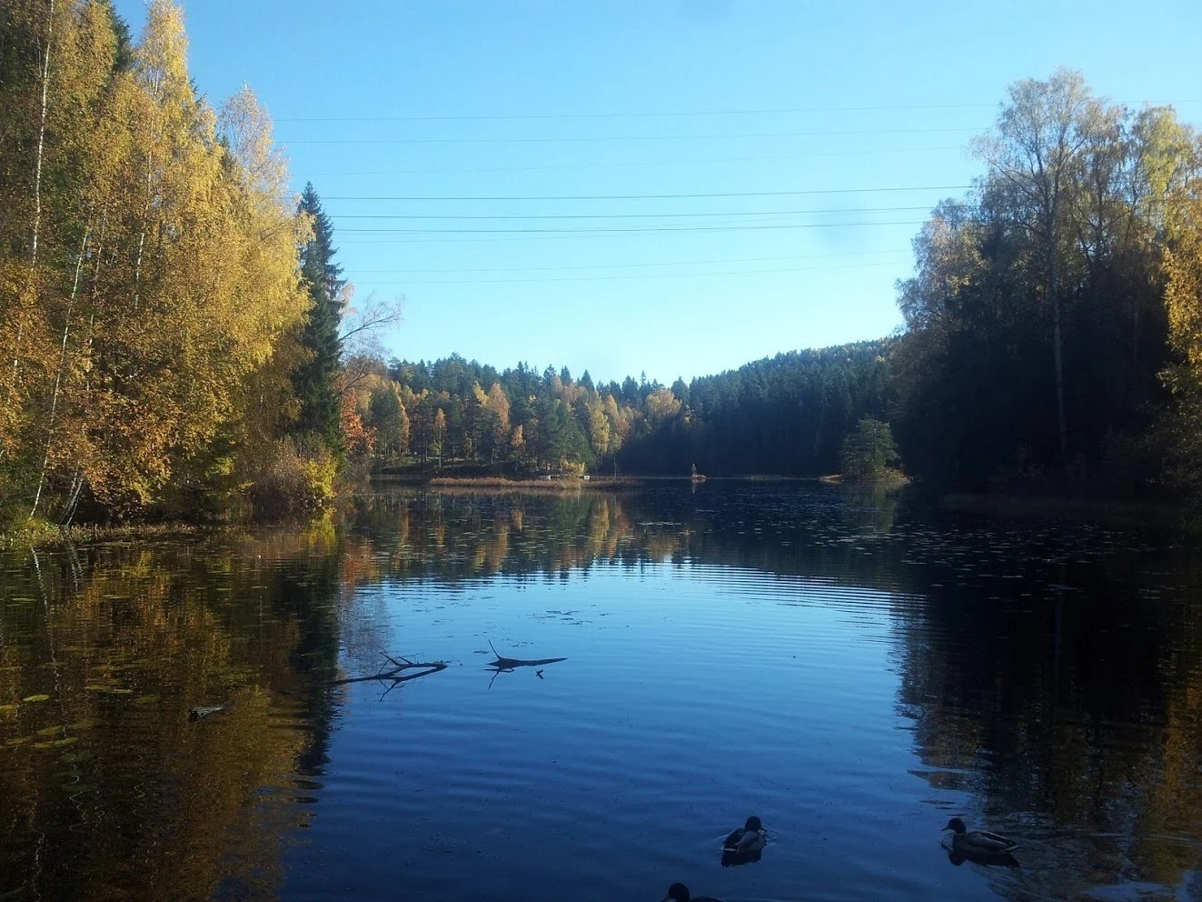Turterreng i nærområdet