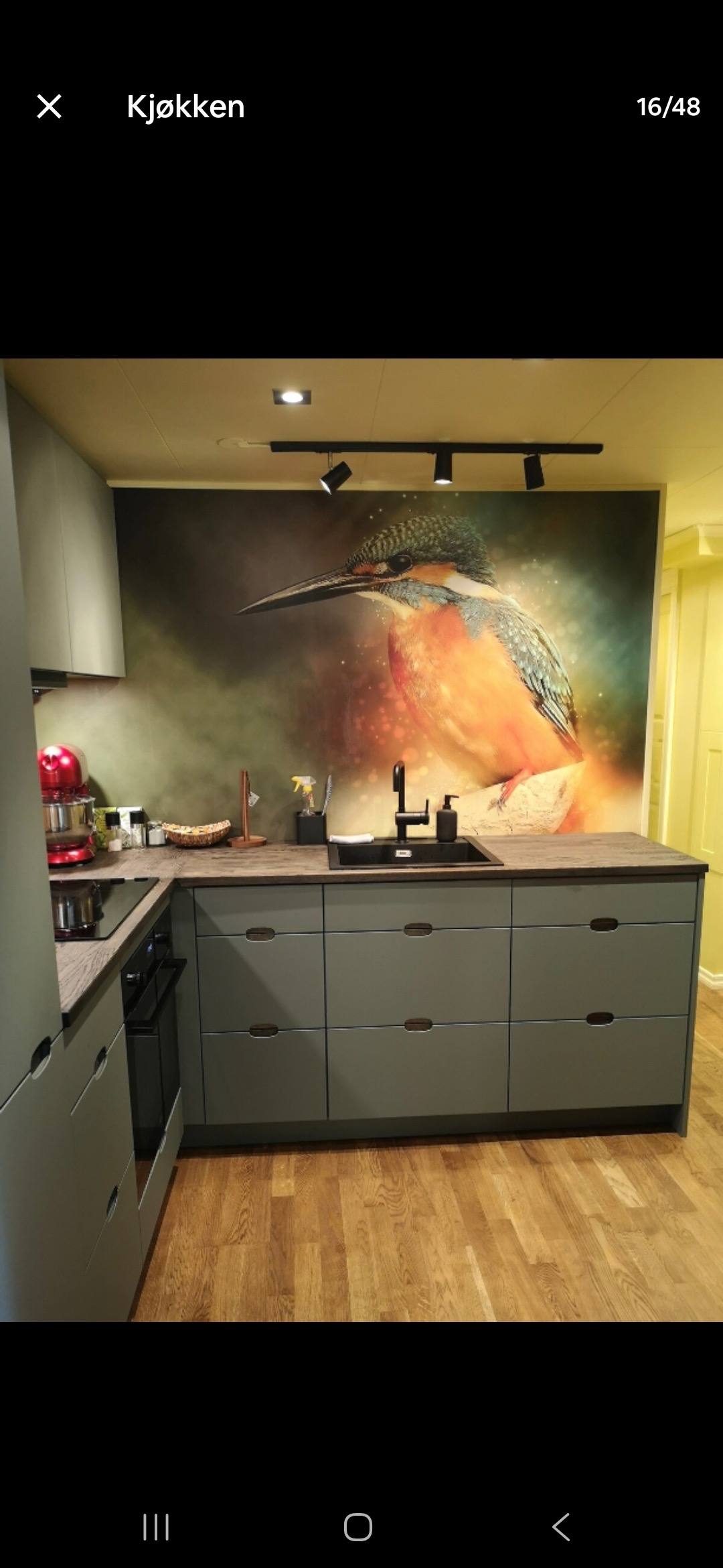 Kjøkkenet er nyrenovert med dyre, stillegående hvitevarer. Ny kurs er installert for å ha en egen induksjonstopp med boostereffekt ( tar null tid å lage mat). 