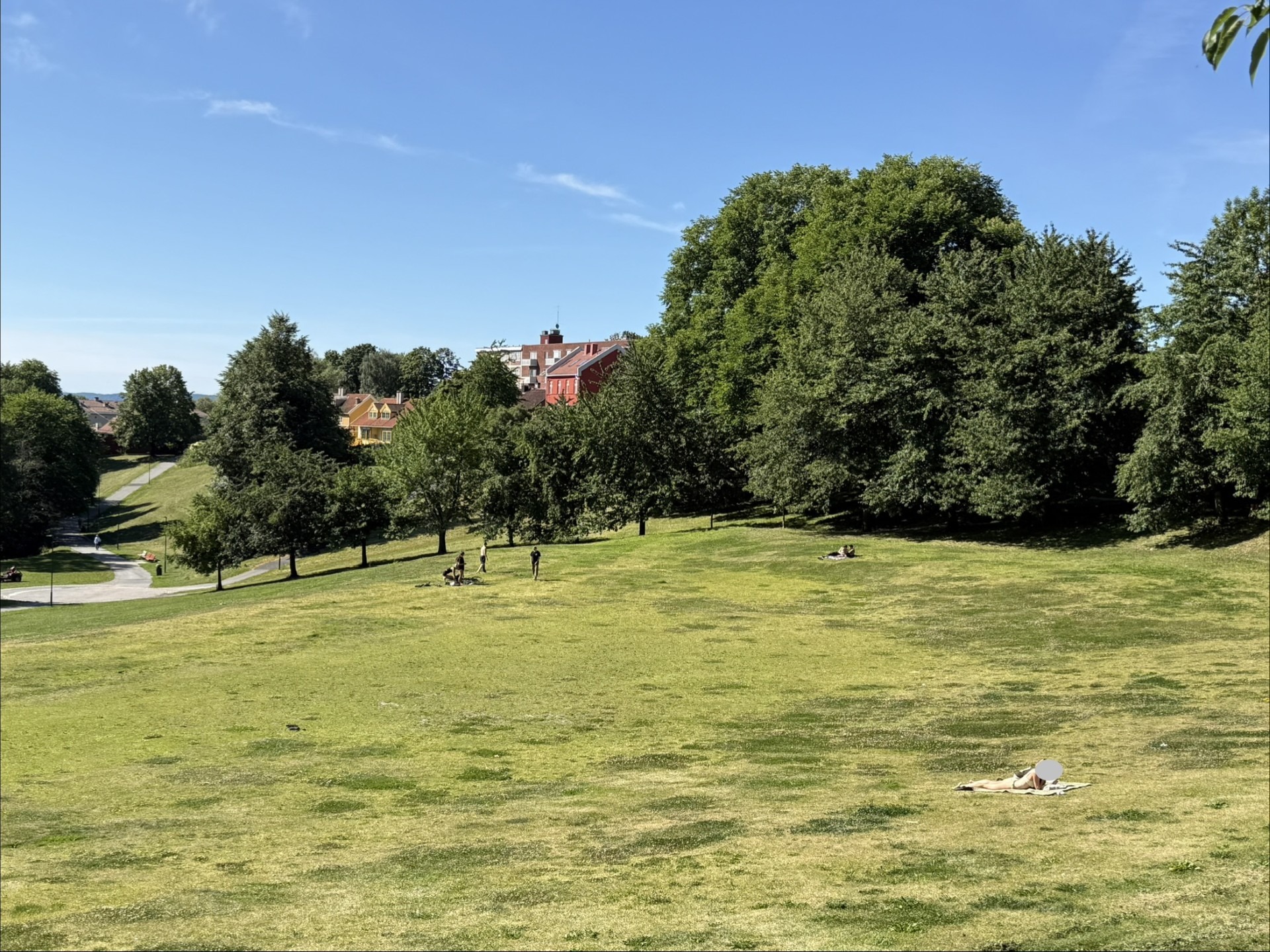 Det er også¨ grønt og frodig på Sagene. Myraløkka, en rolig, men nydelig park bare tre minutters gange unna. Her kan du også følge Akerselva ned til sentrum eller opp til Frysja. 