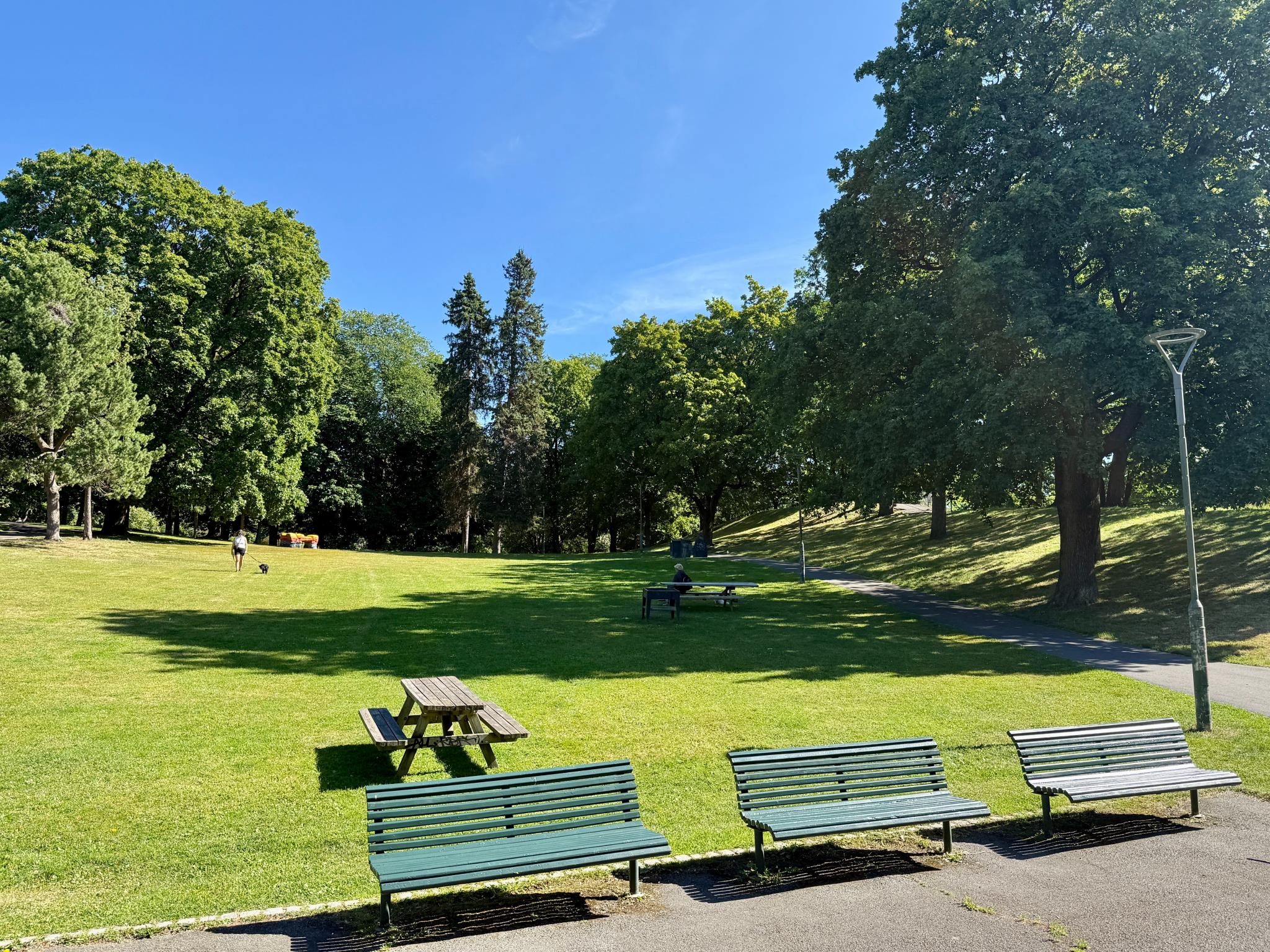 Utenfor stuevinduet ser du også Bjølsenparken bare 50 meter unna. 