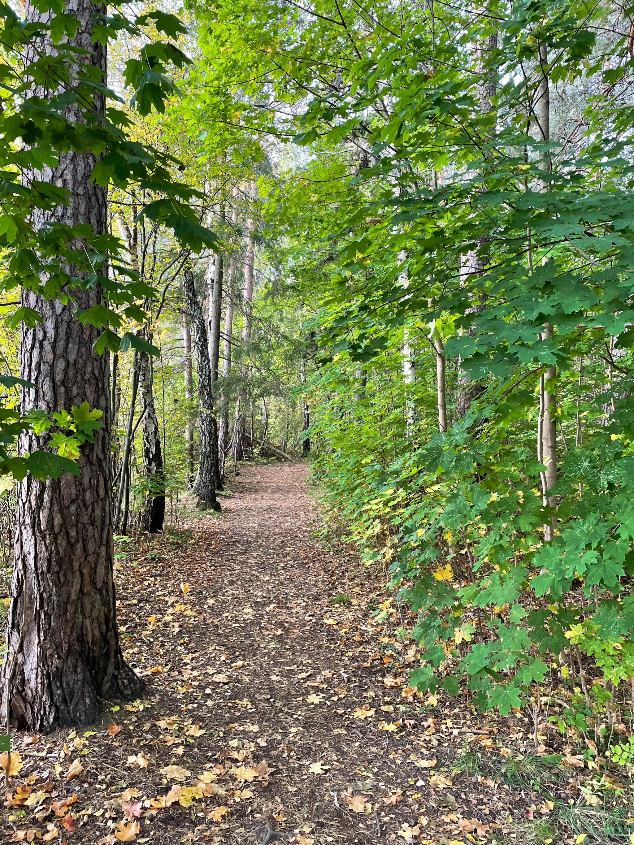 Kyststien  ca 2 minutter fra leiligheten.