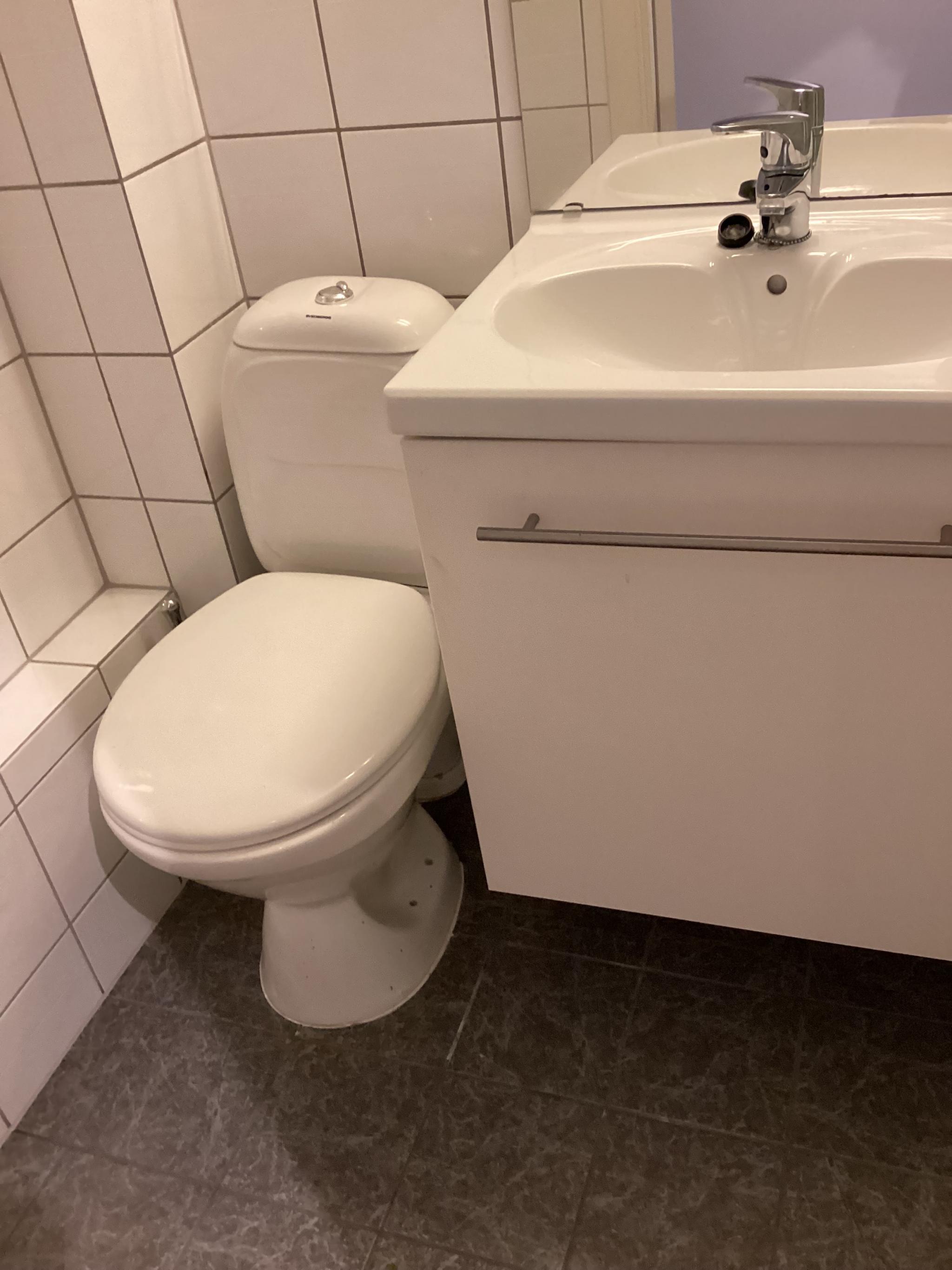 Toalett, vask og dusj 