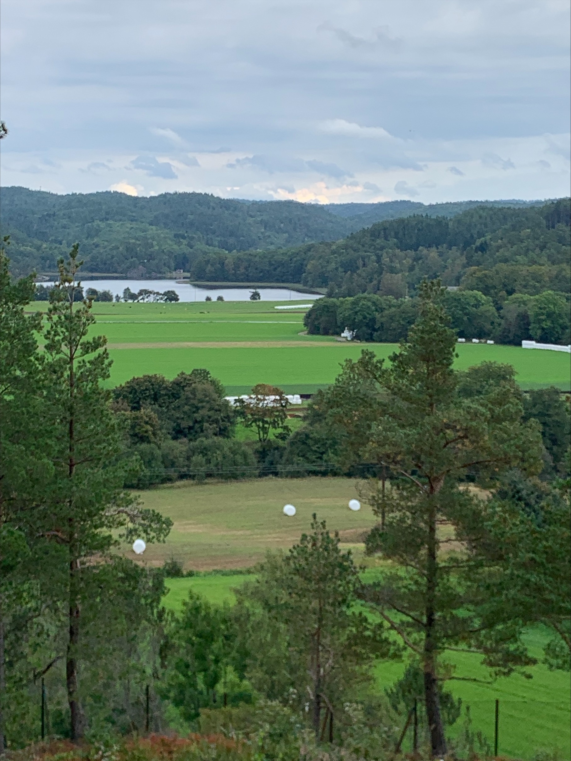 Flott utsikt mot Tjomsevannet