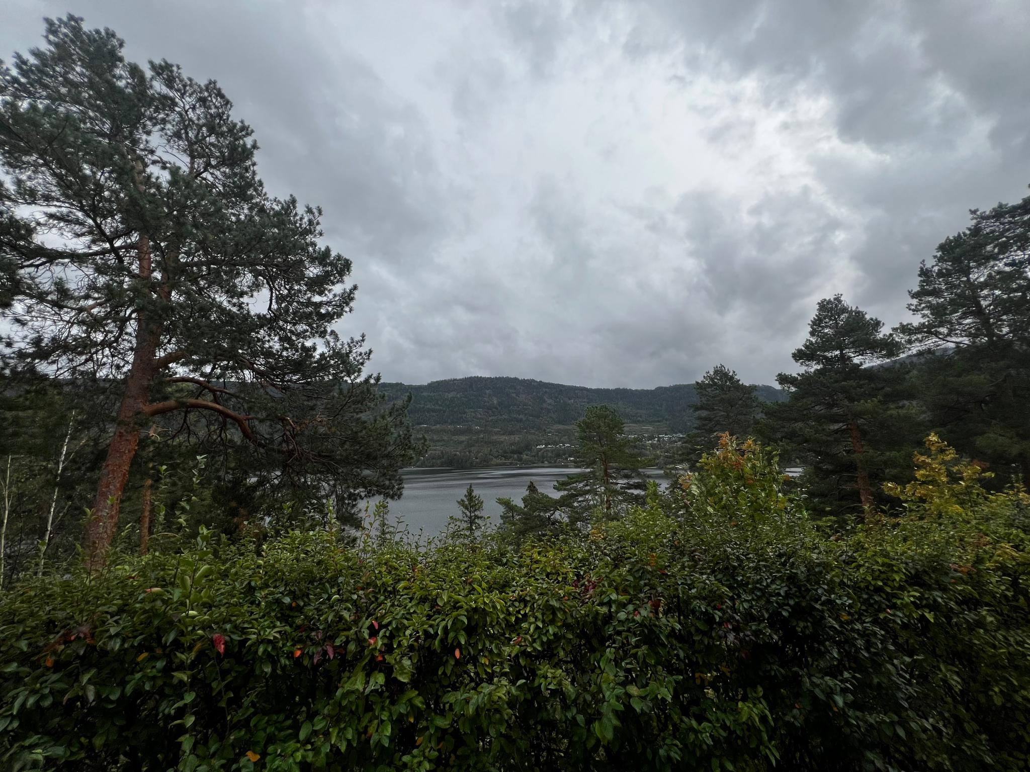 Utsikt mot Steinsfjorden fra hybelen. 