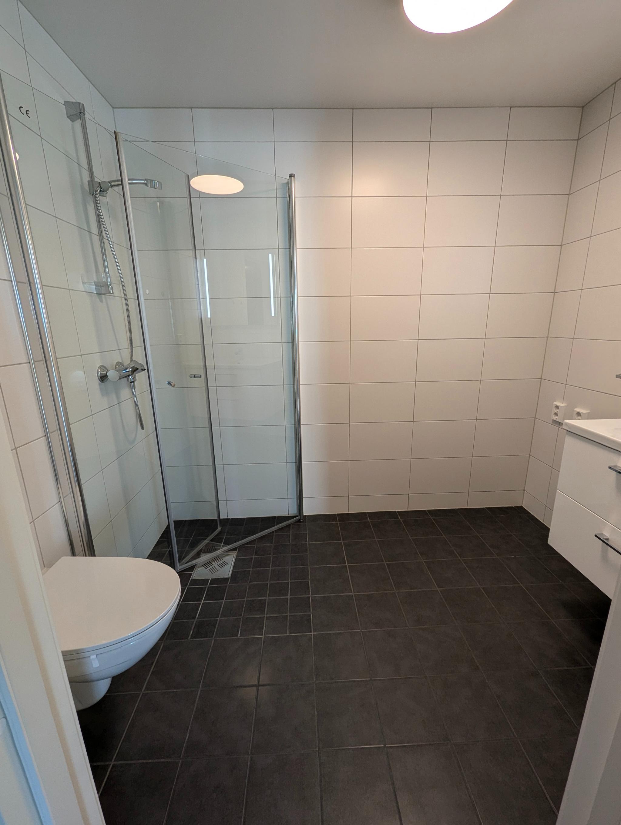 Dusjhjørne med innfellbare glassdører og vegghengt toalett