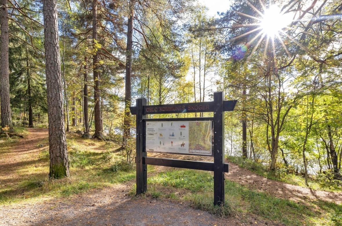 Ammerud har mange fine turområder i Lillomarka