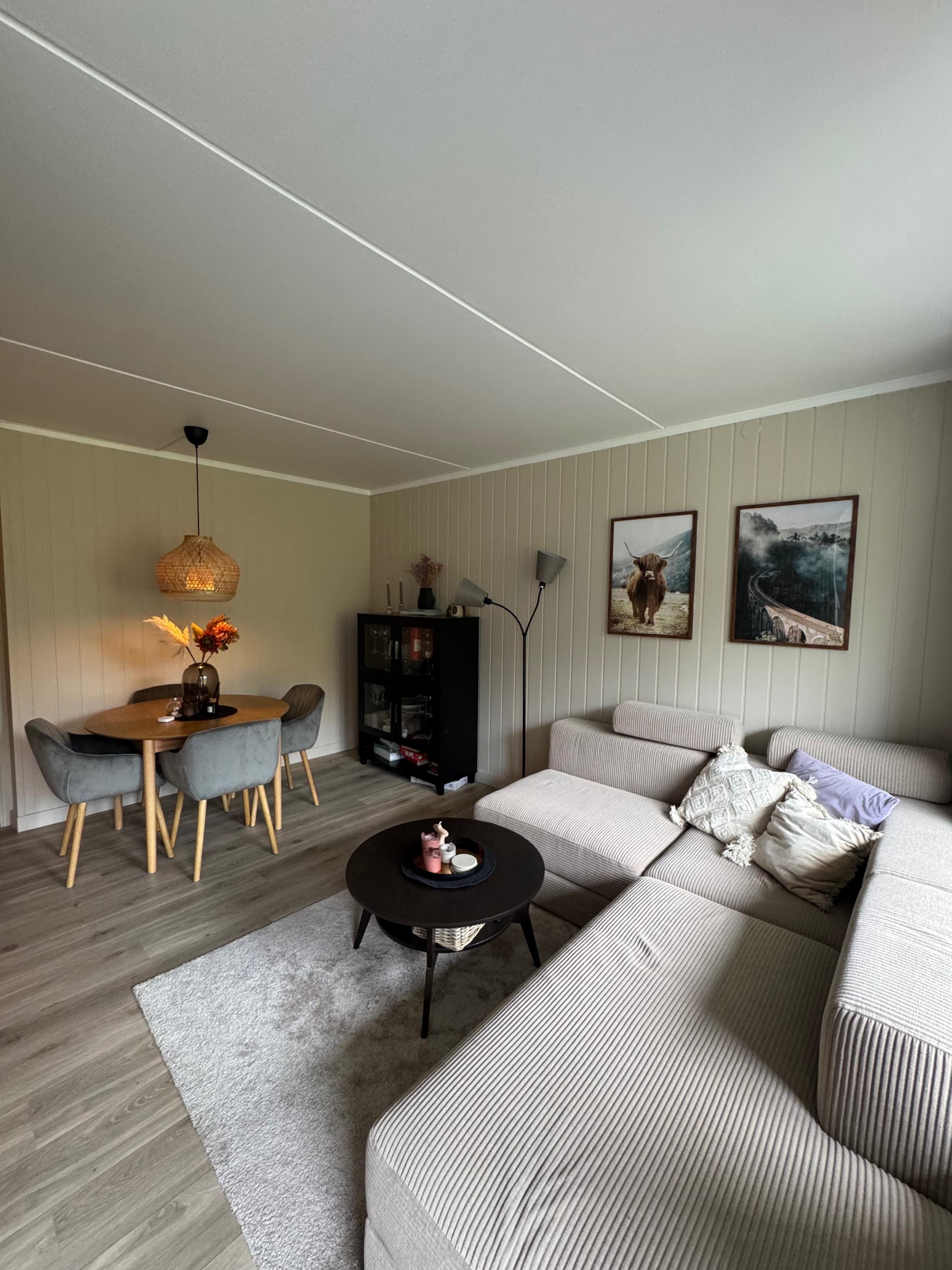 Det er vannbåren varme i radiator i stue og alkove