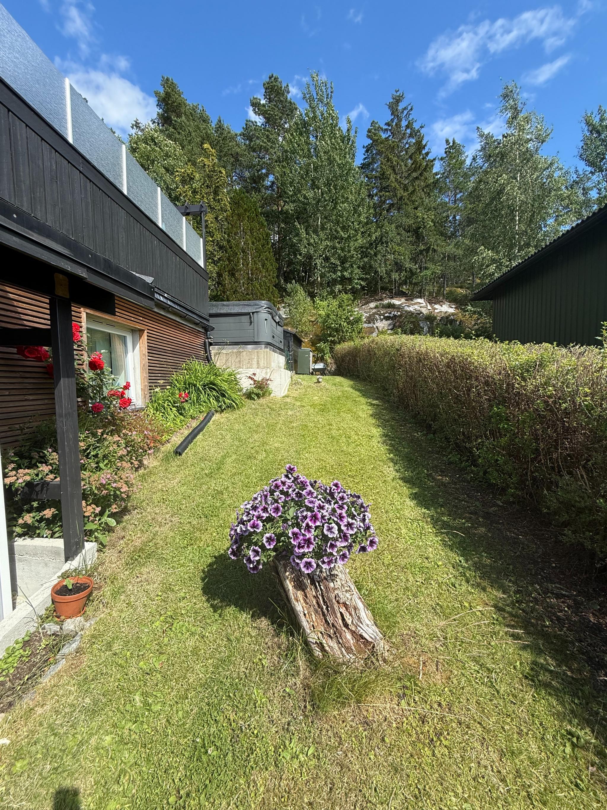 Gressplen tilhørende hybel