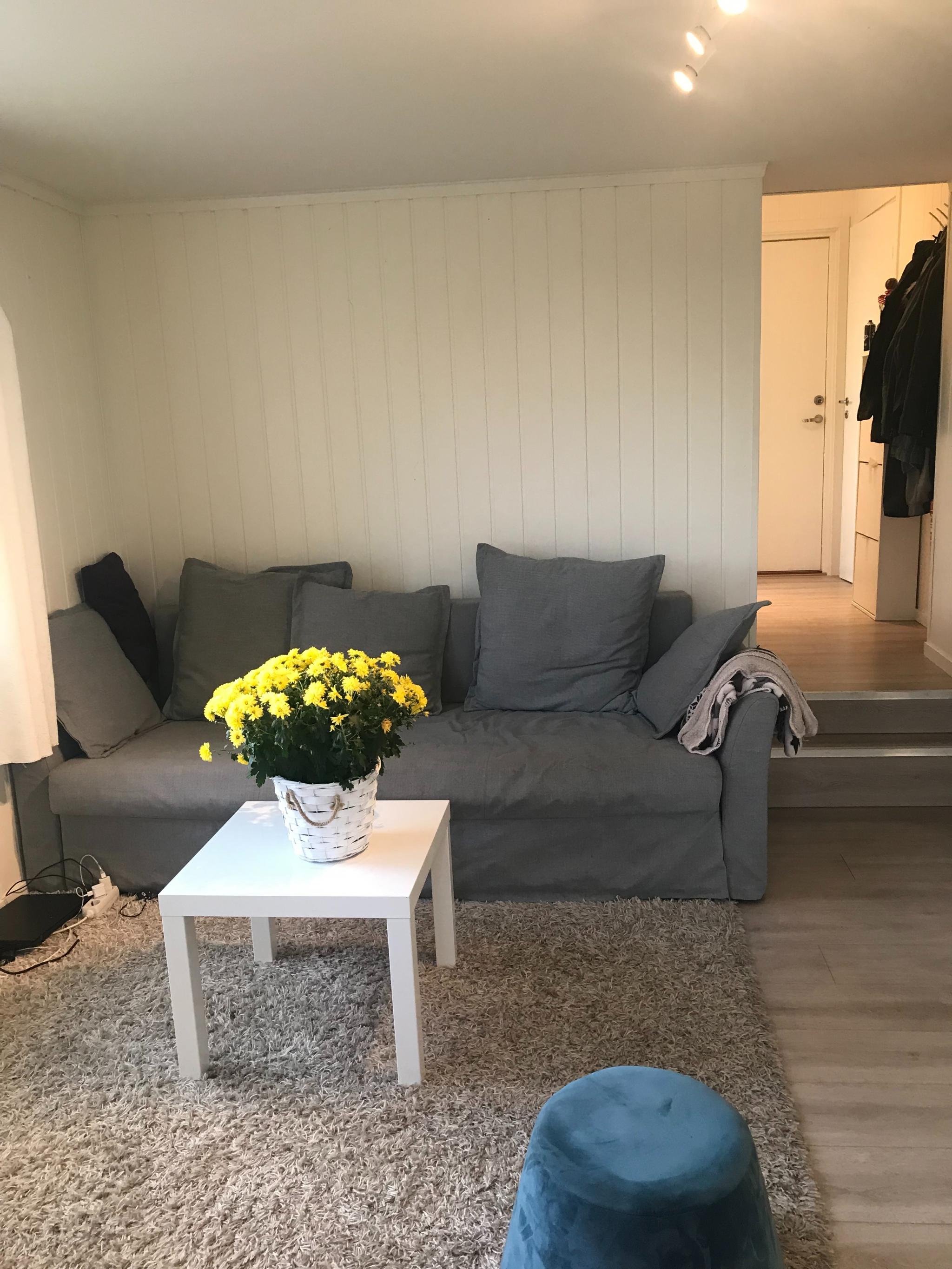 Stue/oppholdsrom