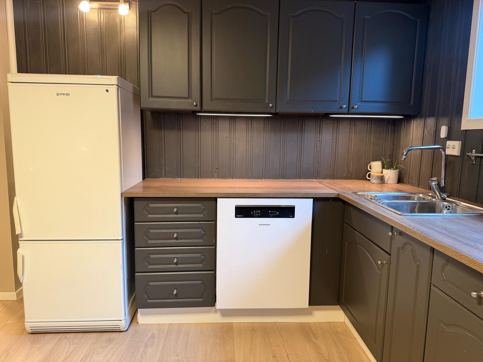 oppvaskmaskin av nyere dato