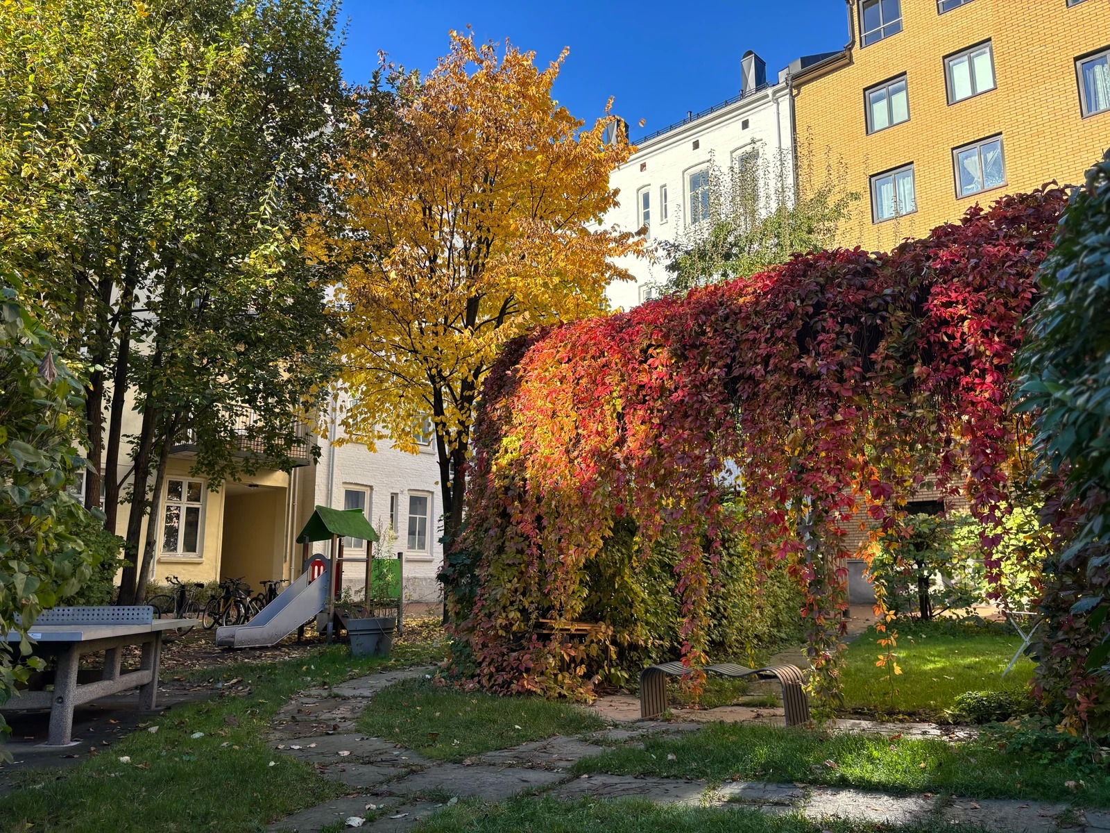 Stor og frodig båkgård med sitteplasser, utegrill, lekeplass, bordtennisbord, m.m.