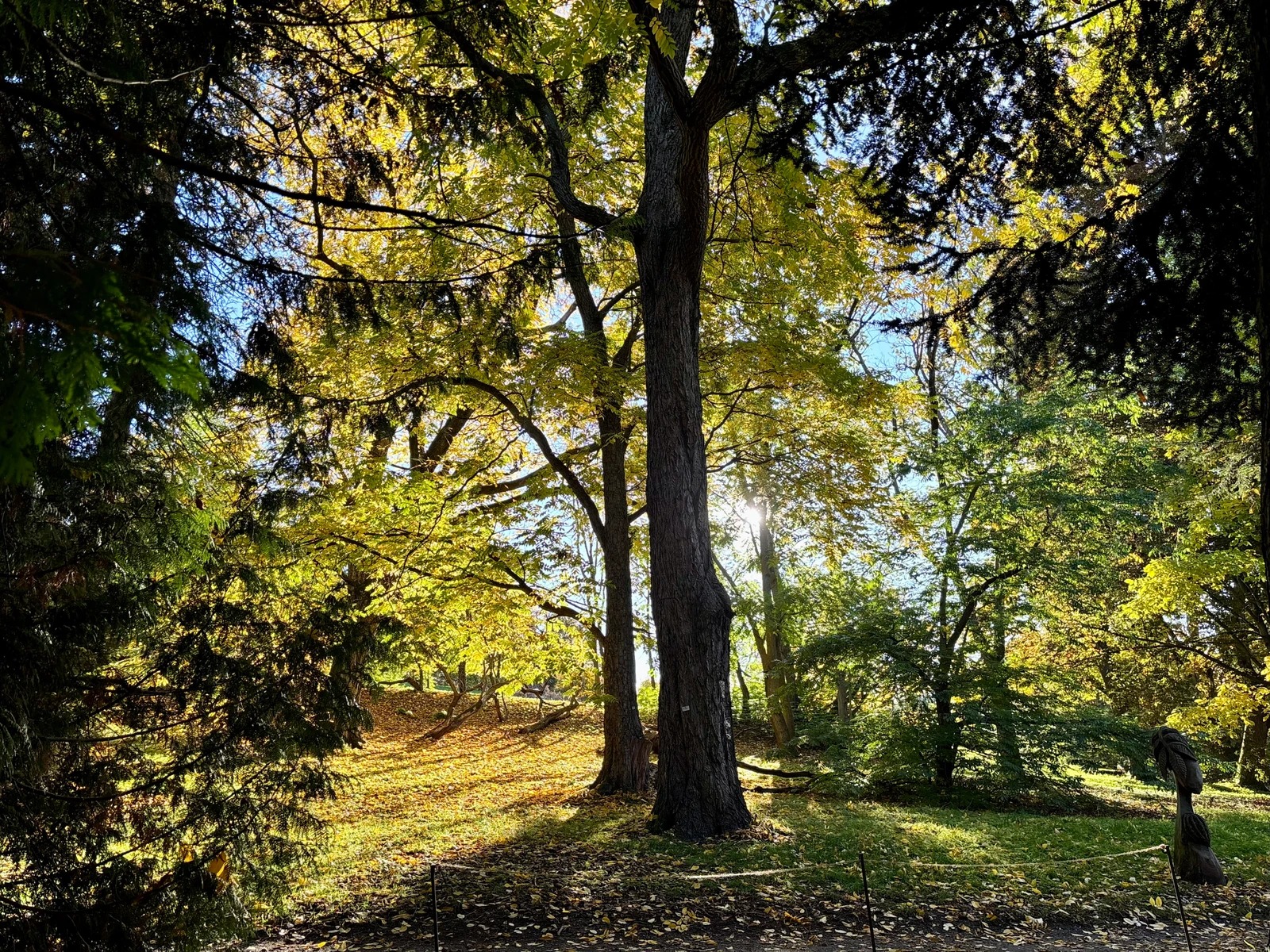 Botanisk hages ro og vakre natur kunn få minutters gange vekk.