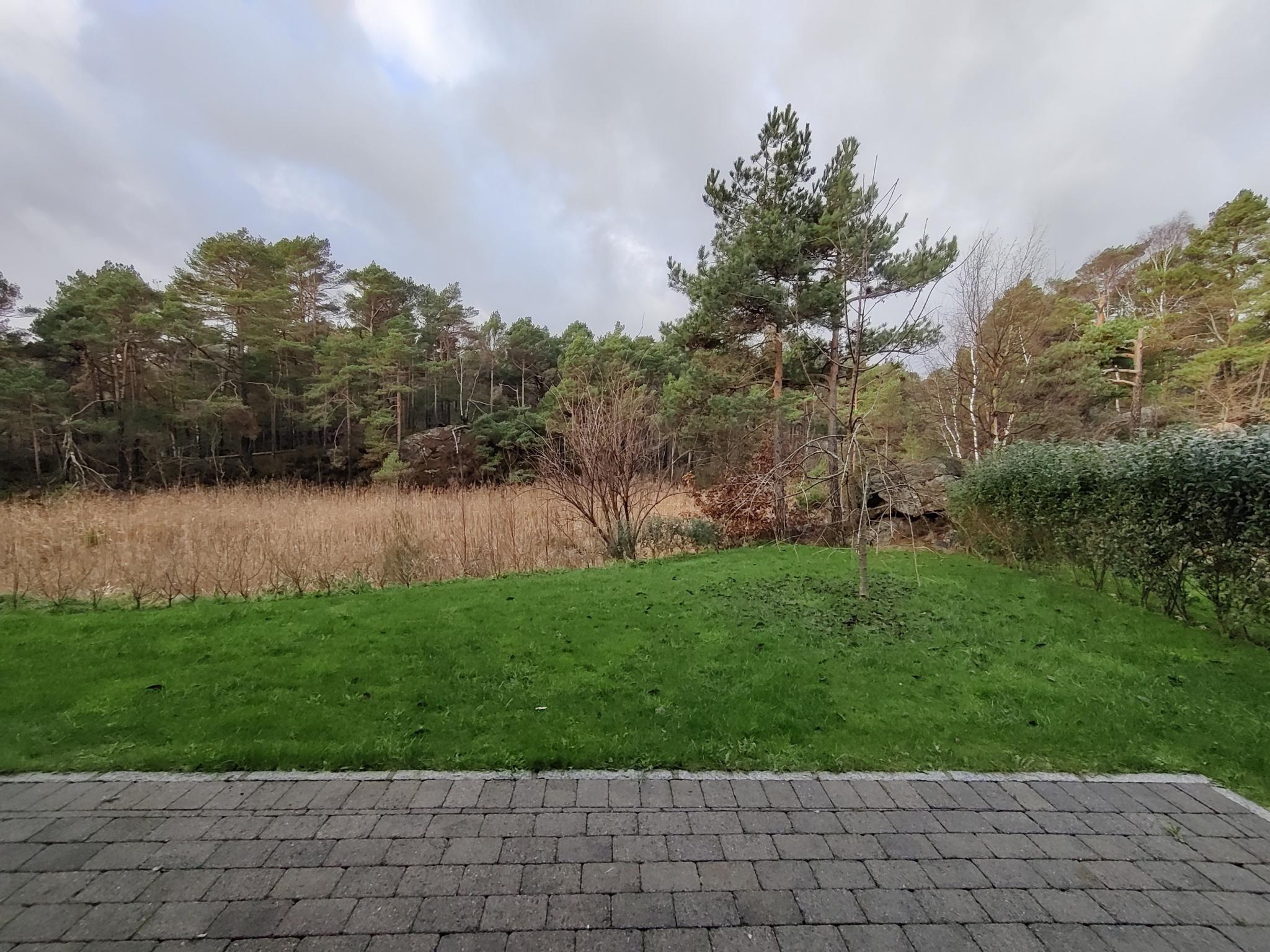 Hage rett på utsiden av praktikantdel mot natur. Dette er også utsikten fra stue/kjøkken og et av soverommene. 