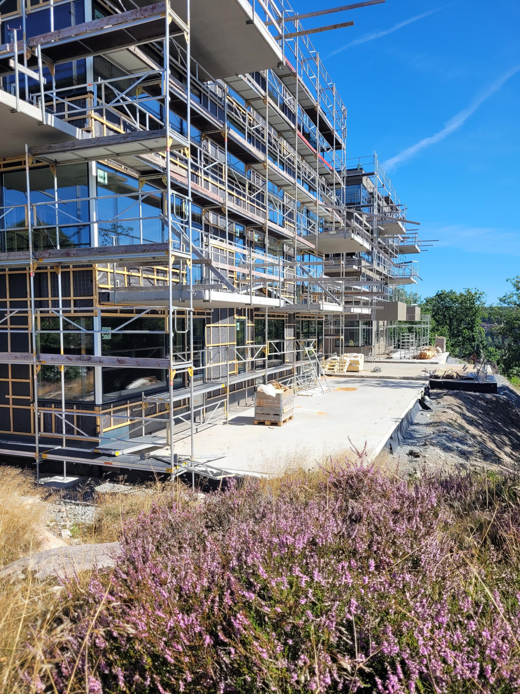 Fra verandasiden med sjøgløtt