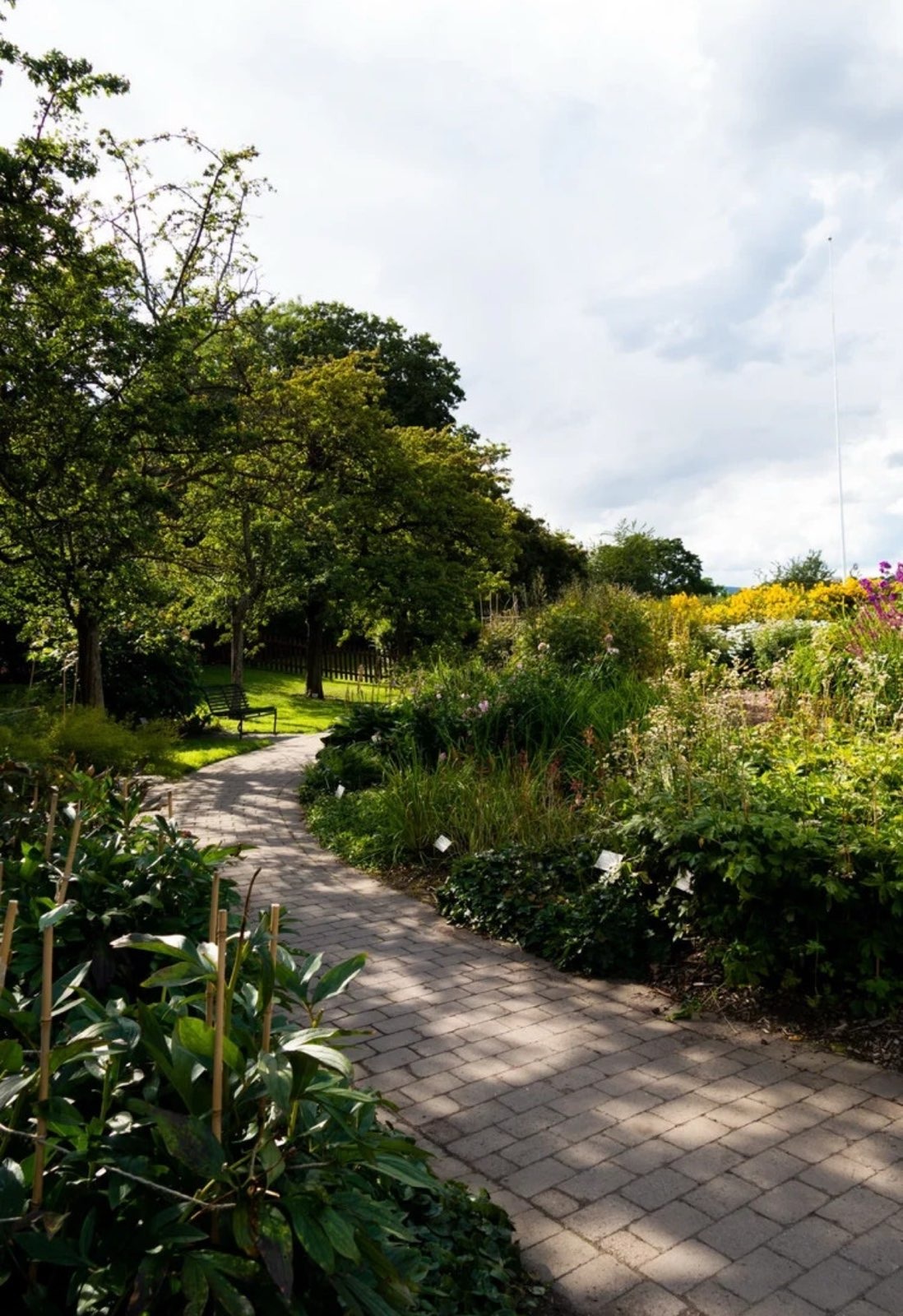Nærområdet: Botanisk hage. Foto: Notar. 