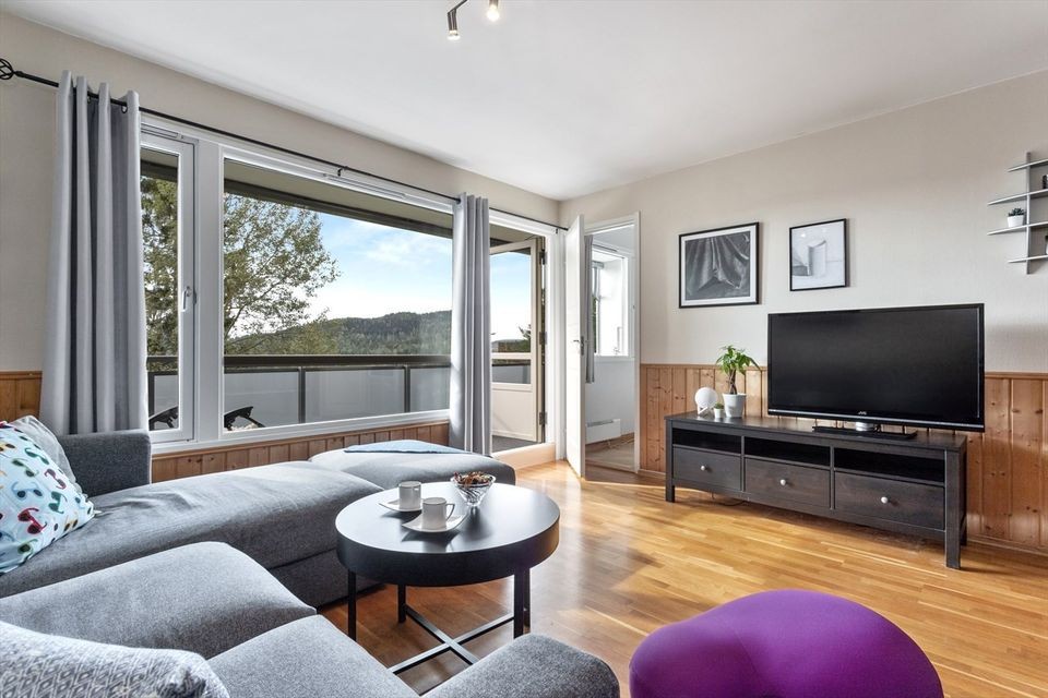 Stue illustrasjon (Møbler ikke inkludert)