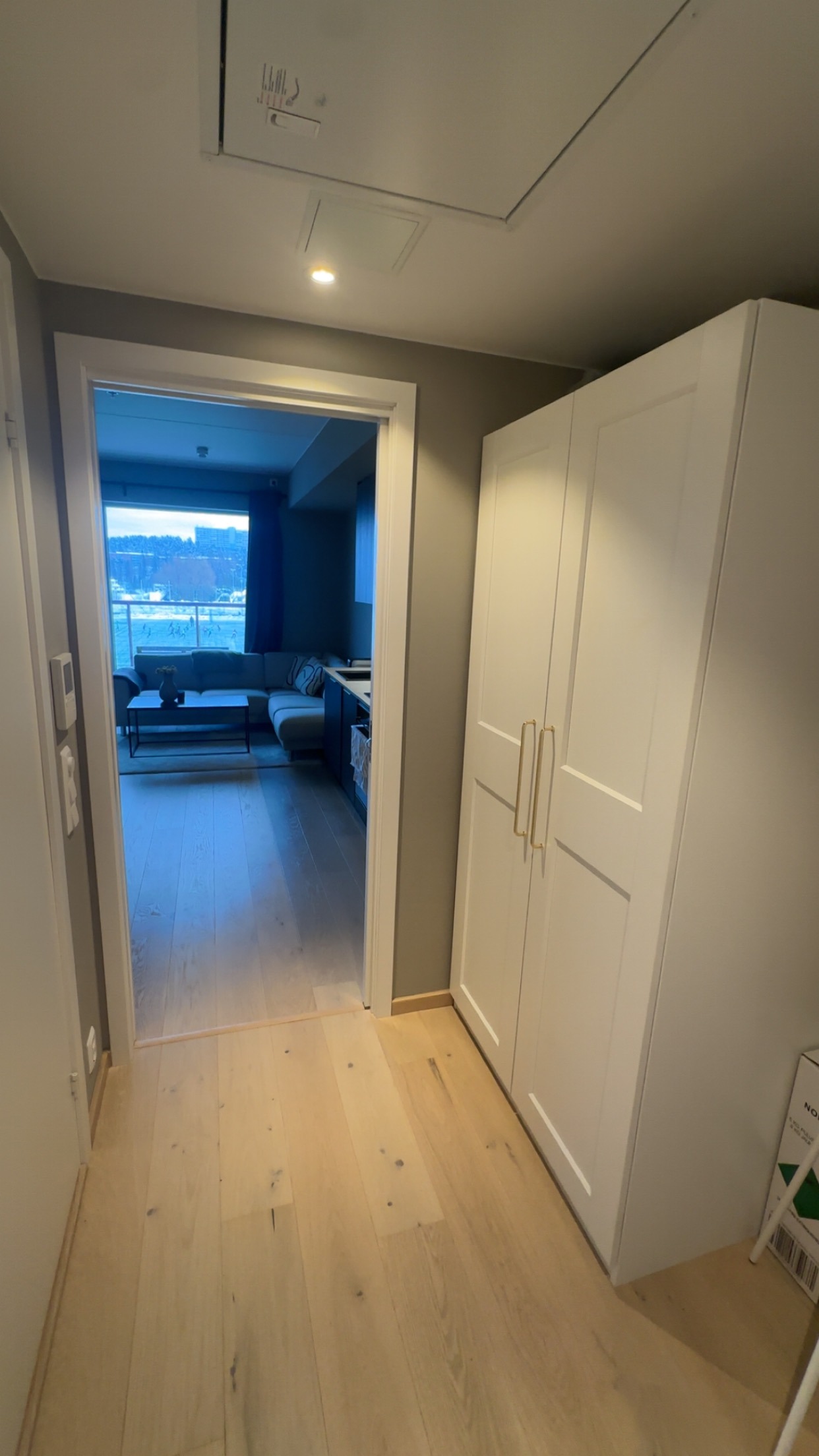 Inngangsparti med garderobe, hvor du kan se stuen