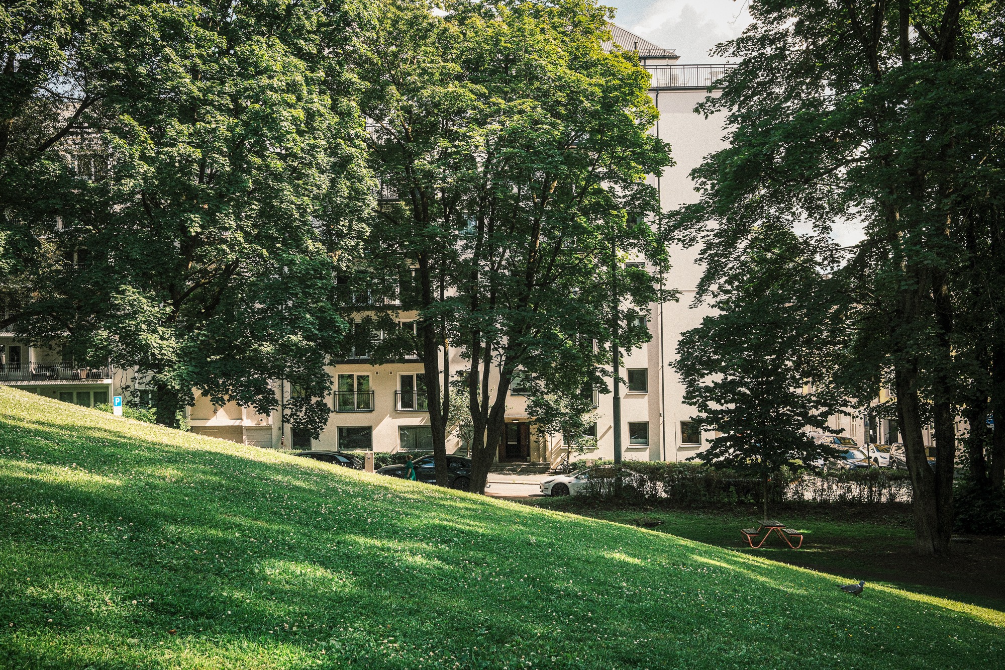 Park som nærmeste nabo