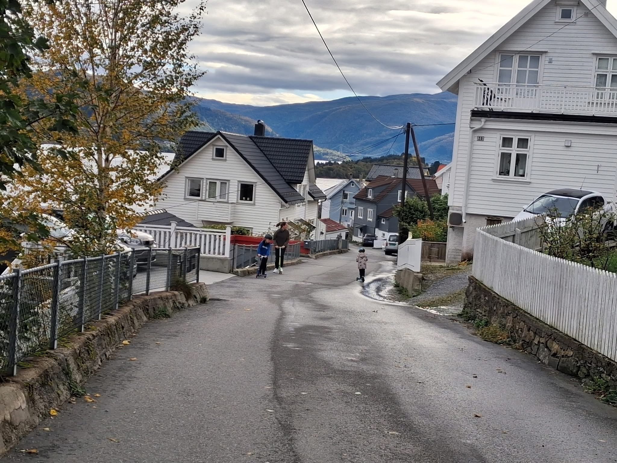 Norstrandvegen (nærområde) 