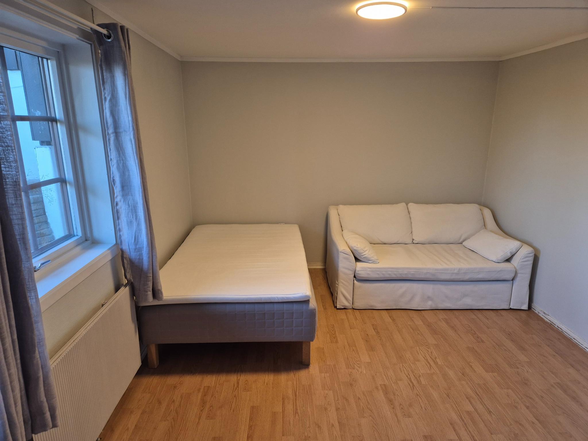 Stue/sov med seng og sove sofa